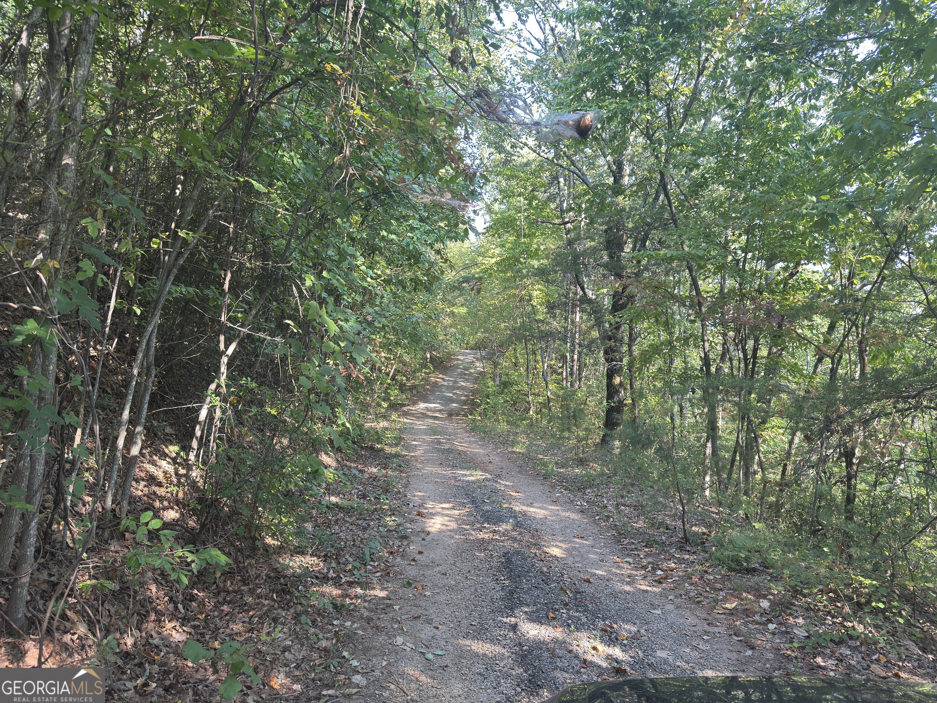 0 Wauka Mountain Terrace Clermont GA 30527