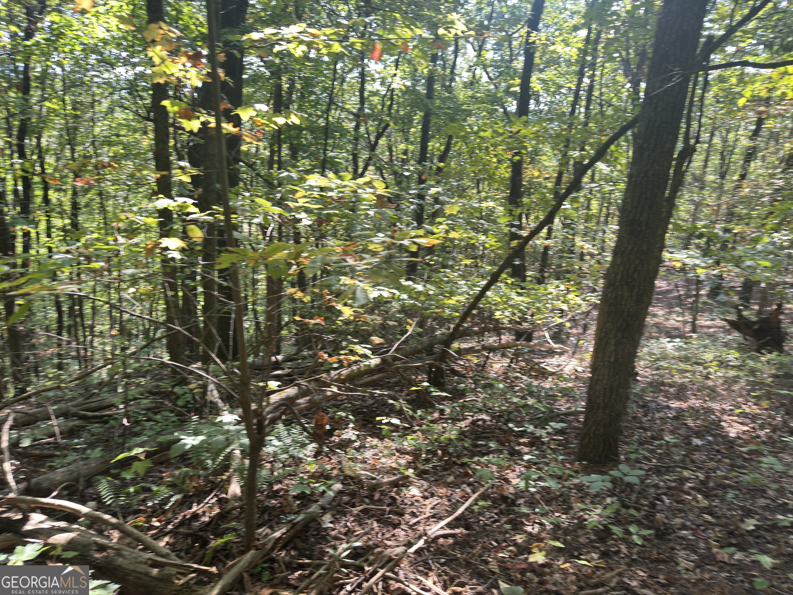 0 Wauka Mountain Terrace Clermont GA 30527