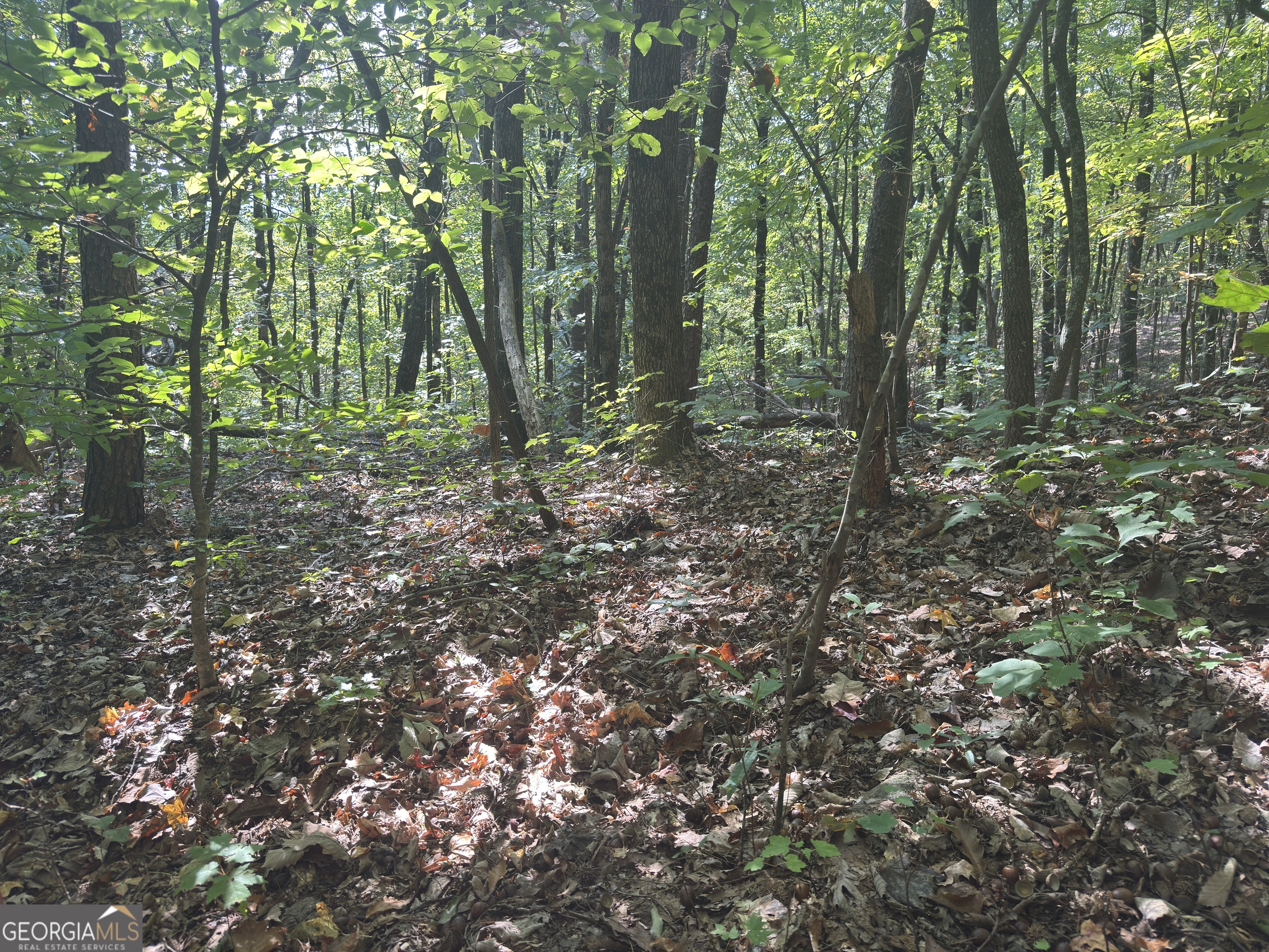 0 Wauka Mountain Terrace Clermont GA 30527