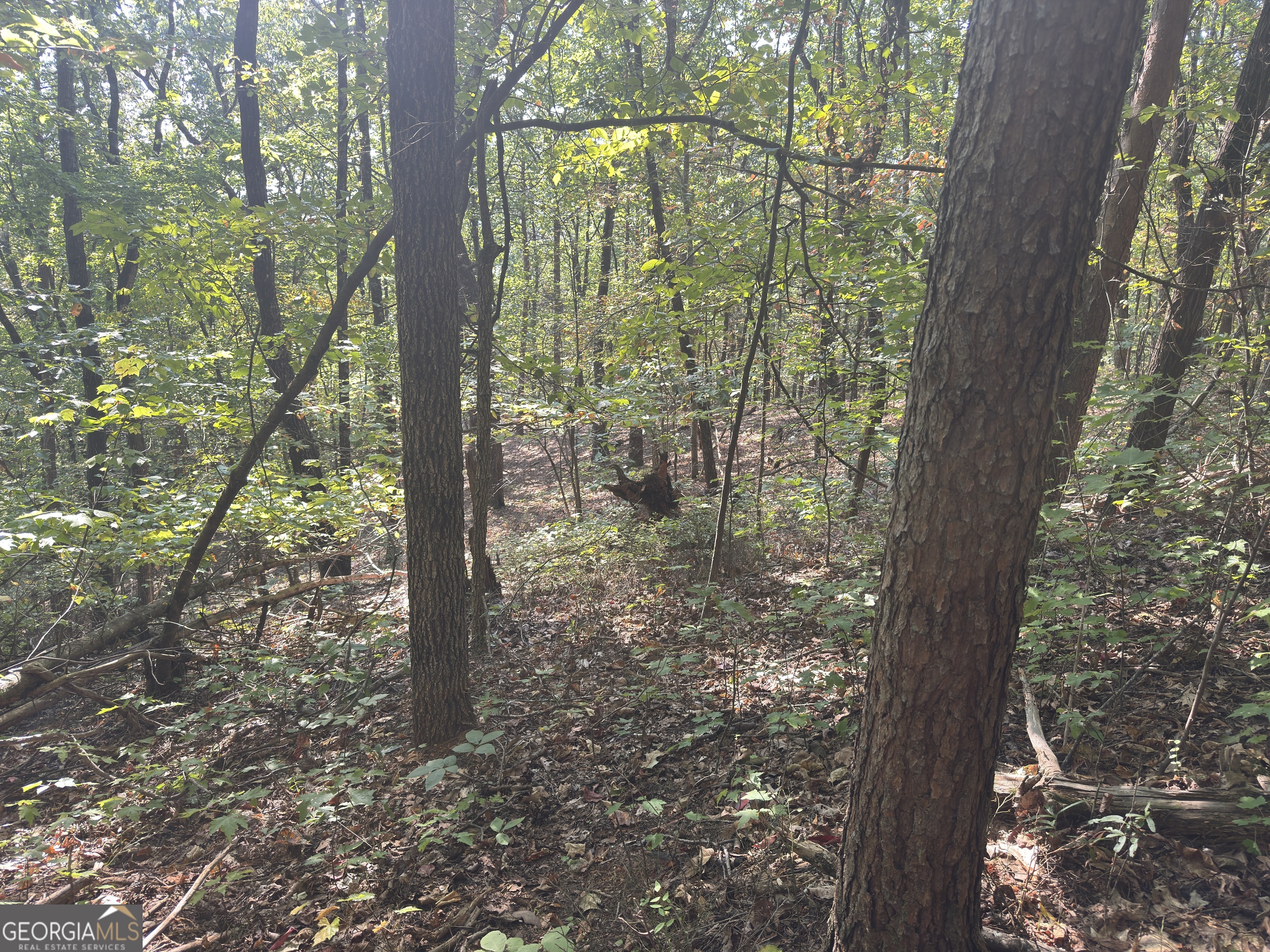 0 Wauka Mountain Terrace Clermont GA 30527