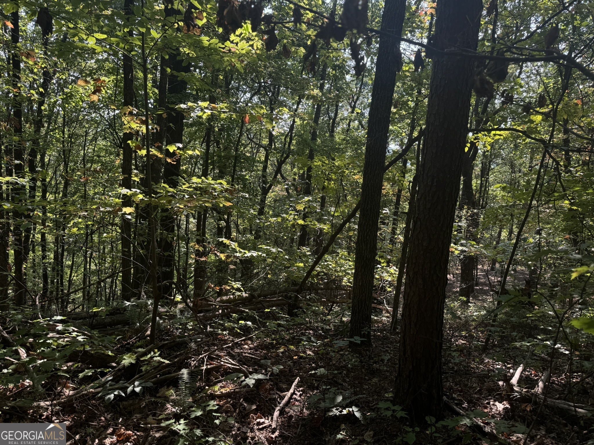0 Wauka Mountain Terrace Clermont GA 30527