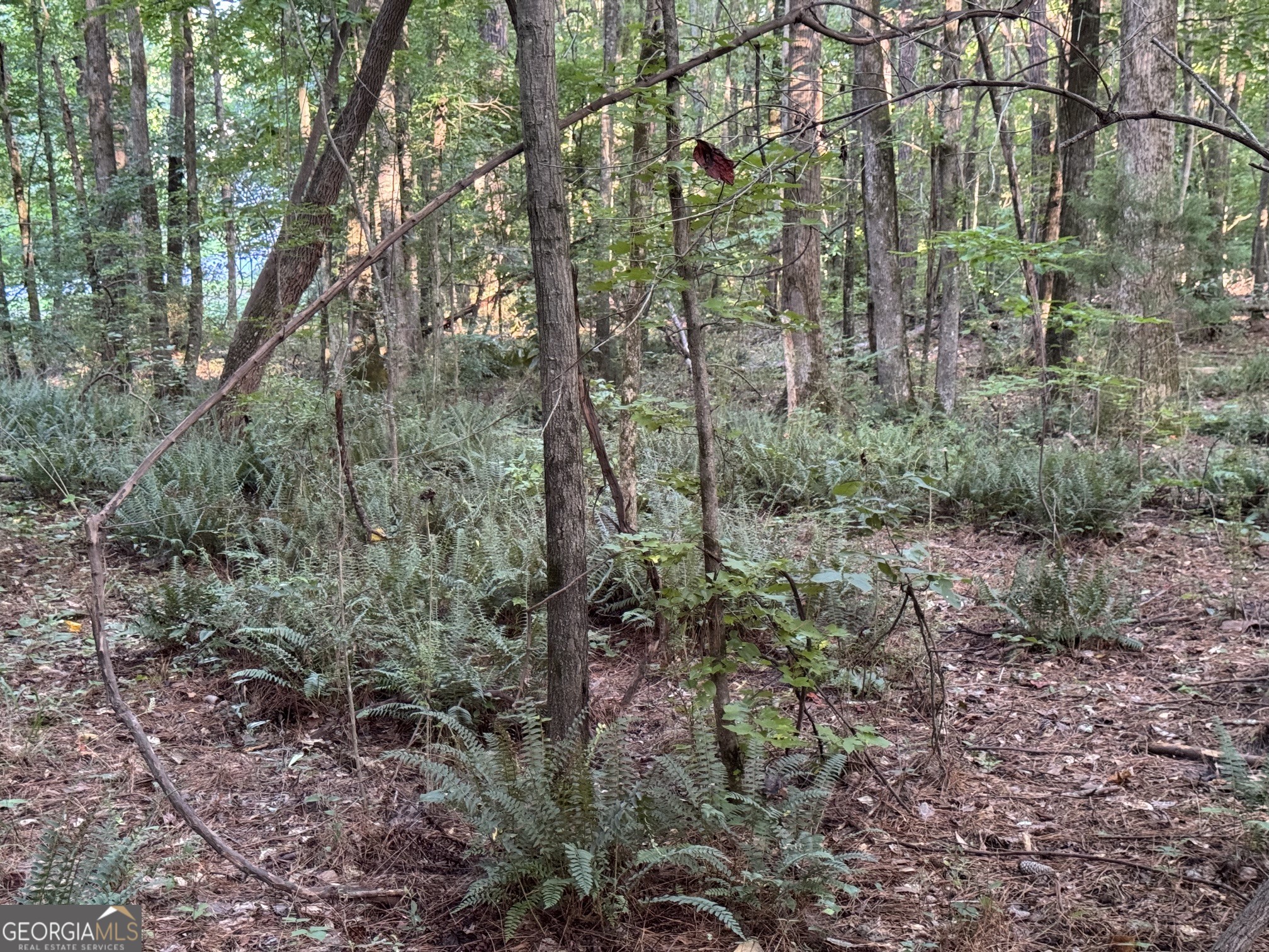 0 Lake Hampton Drive Hampton GA 30228