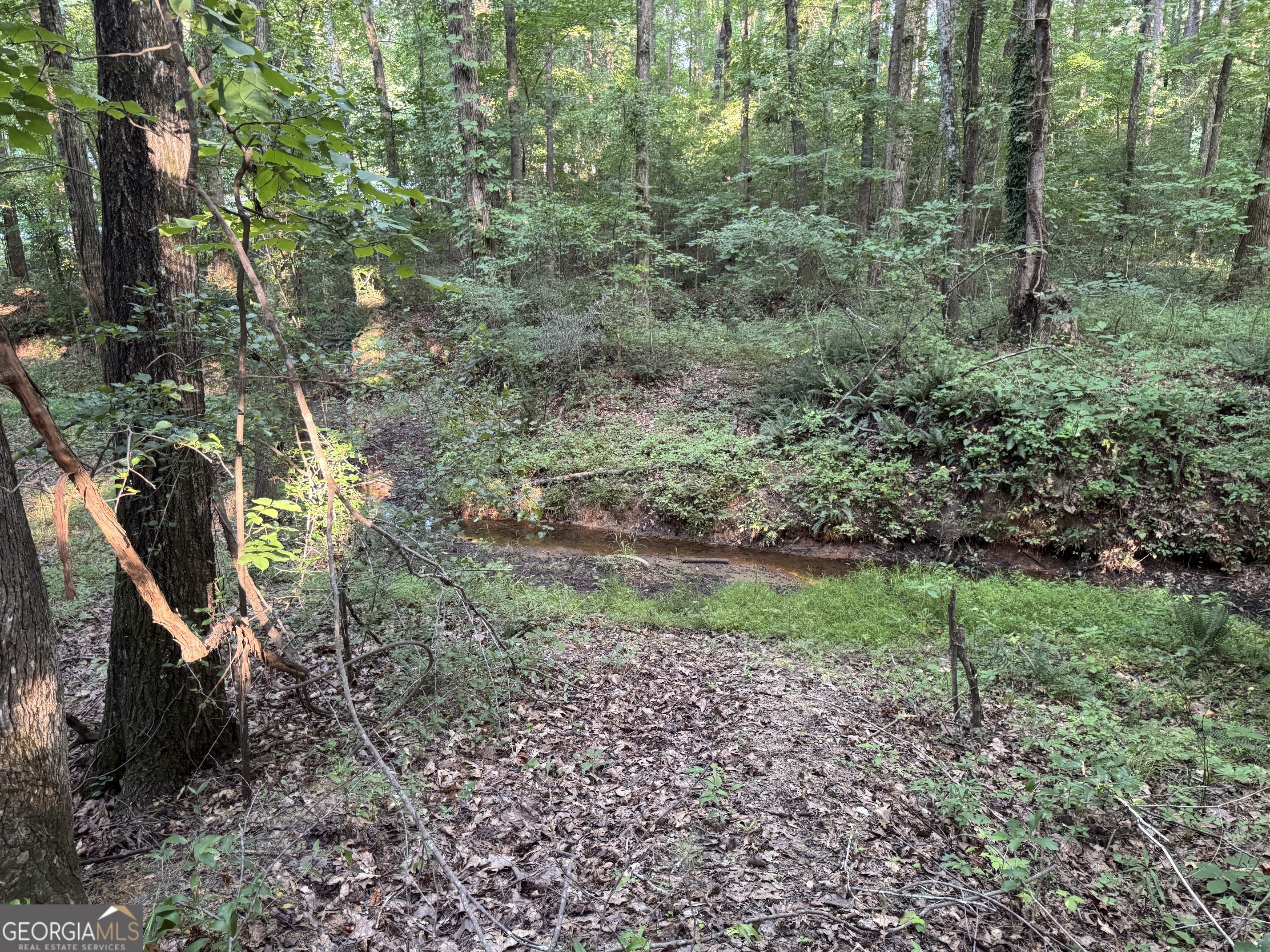 0 Lake Hampton Drive Hampton GA 30228