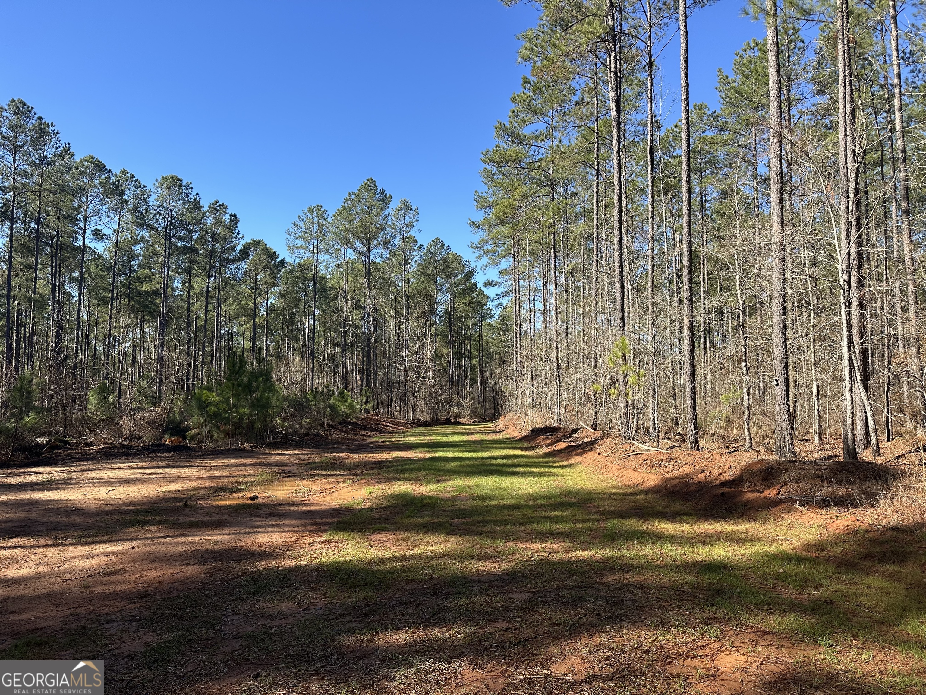 0 Farmington Road Watkinsville GA 30677