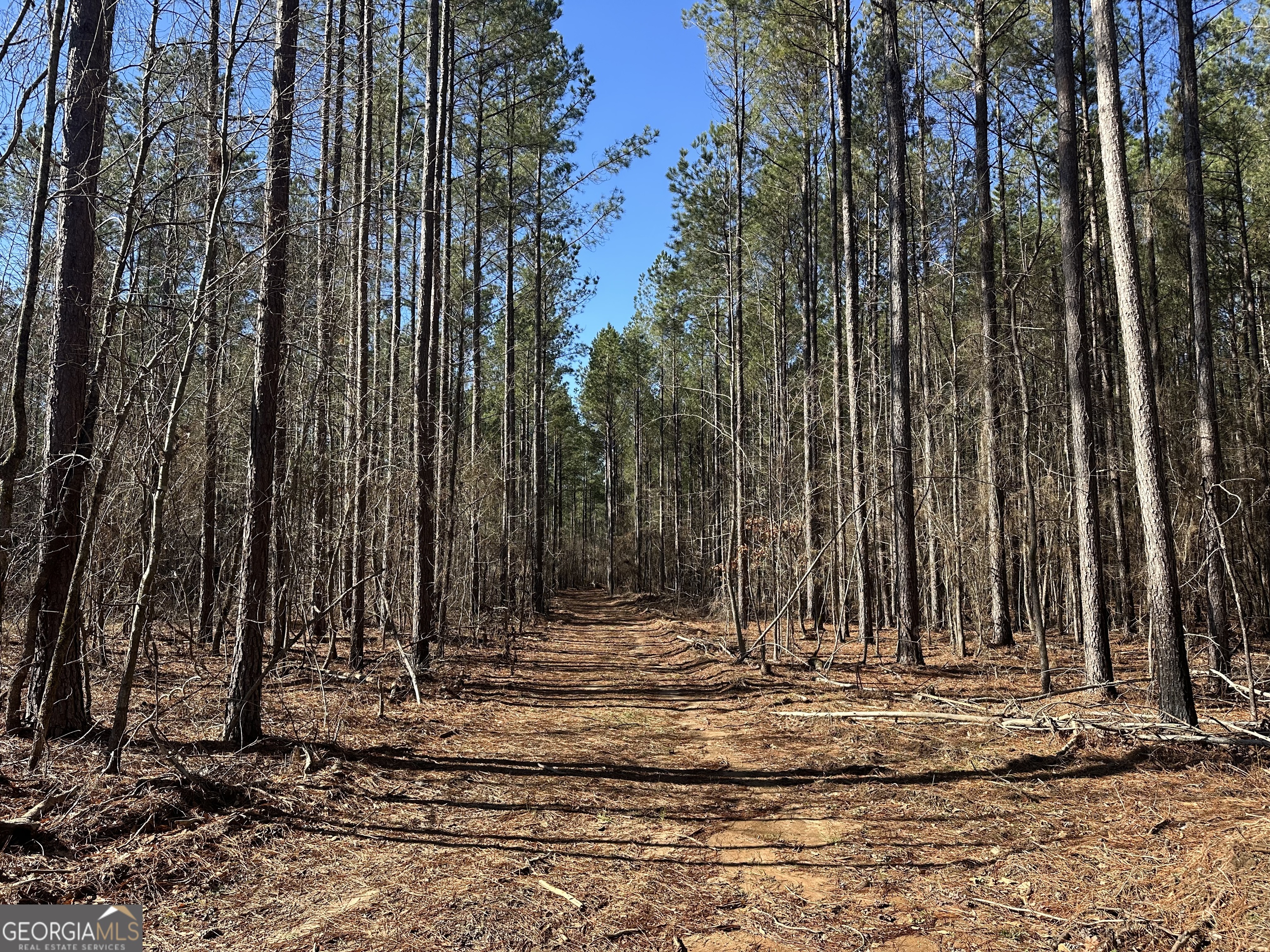 0 Farmington Road Watkinsville GA 30677