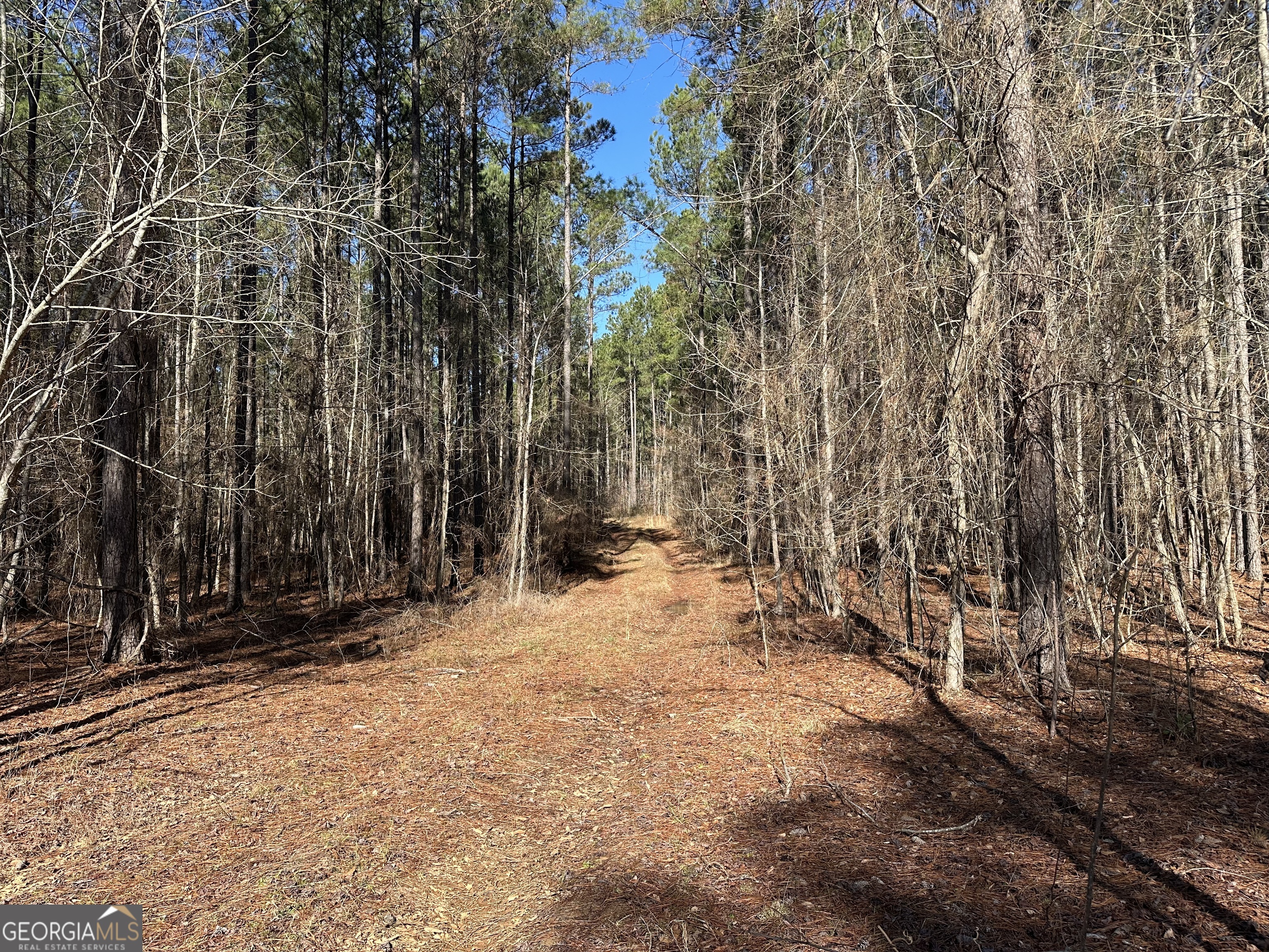 0 Farmington Road Watkinsville GA 30677