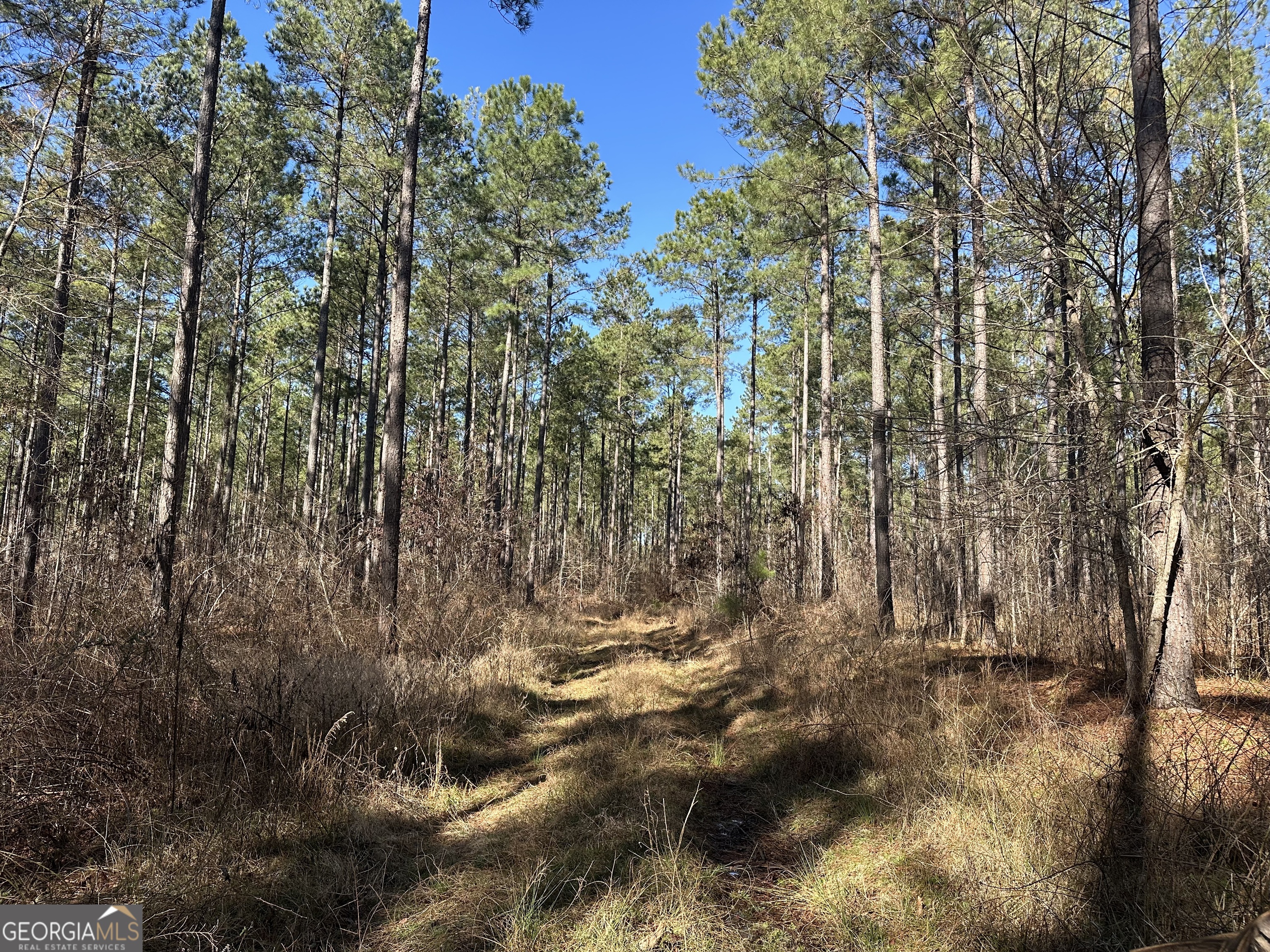 0 Farmington Road Watkinsville GA 30677
