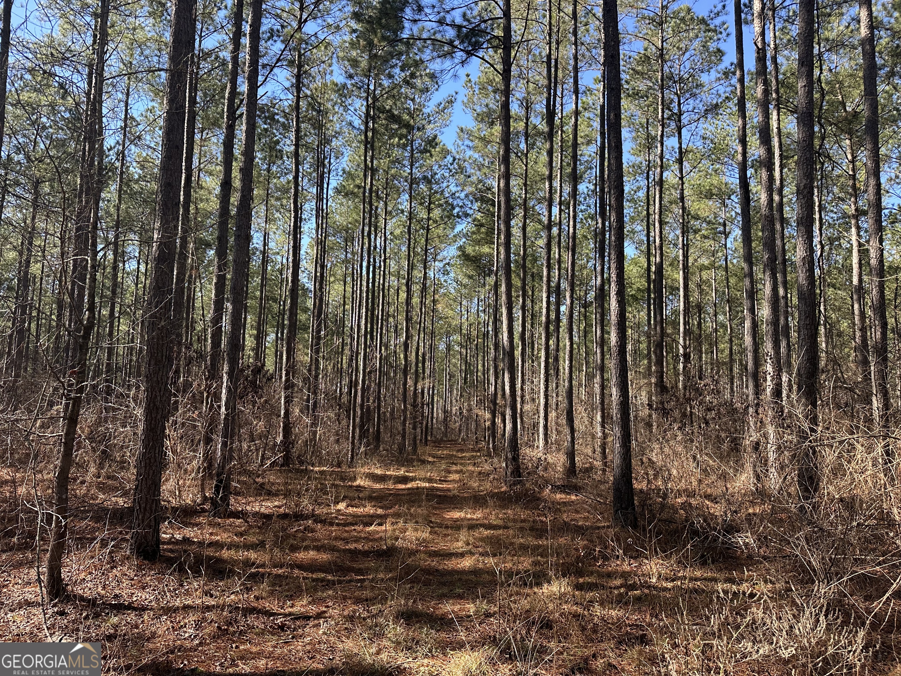 0 Farmington Road Watkinsville GA 30677