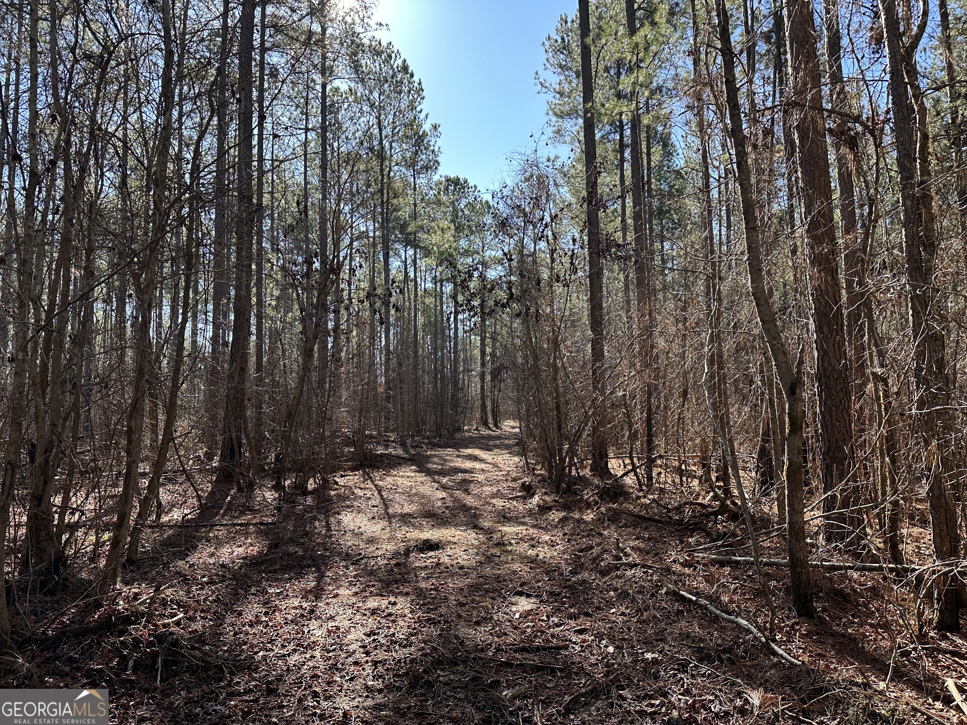 0 Farmington Road Watkinsville GA 30677
