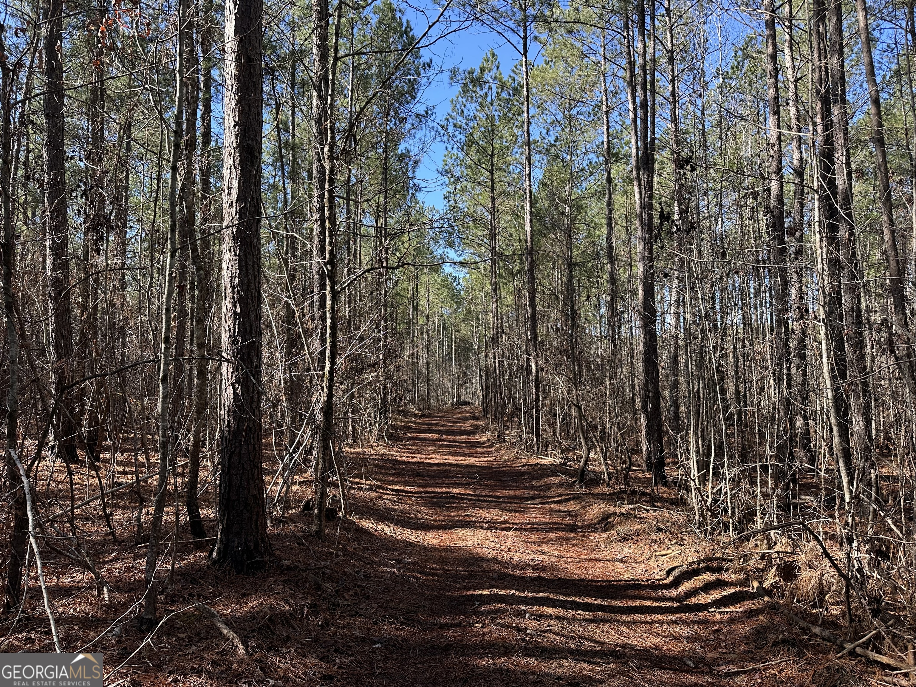 0 Farmington Road Watkinsville GA 30677