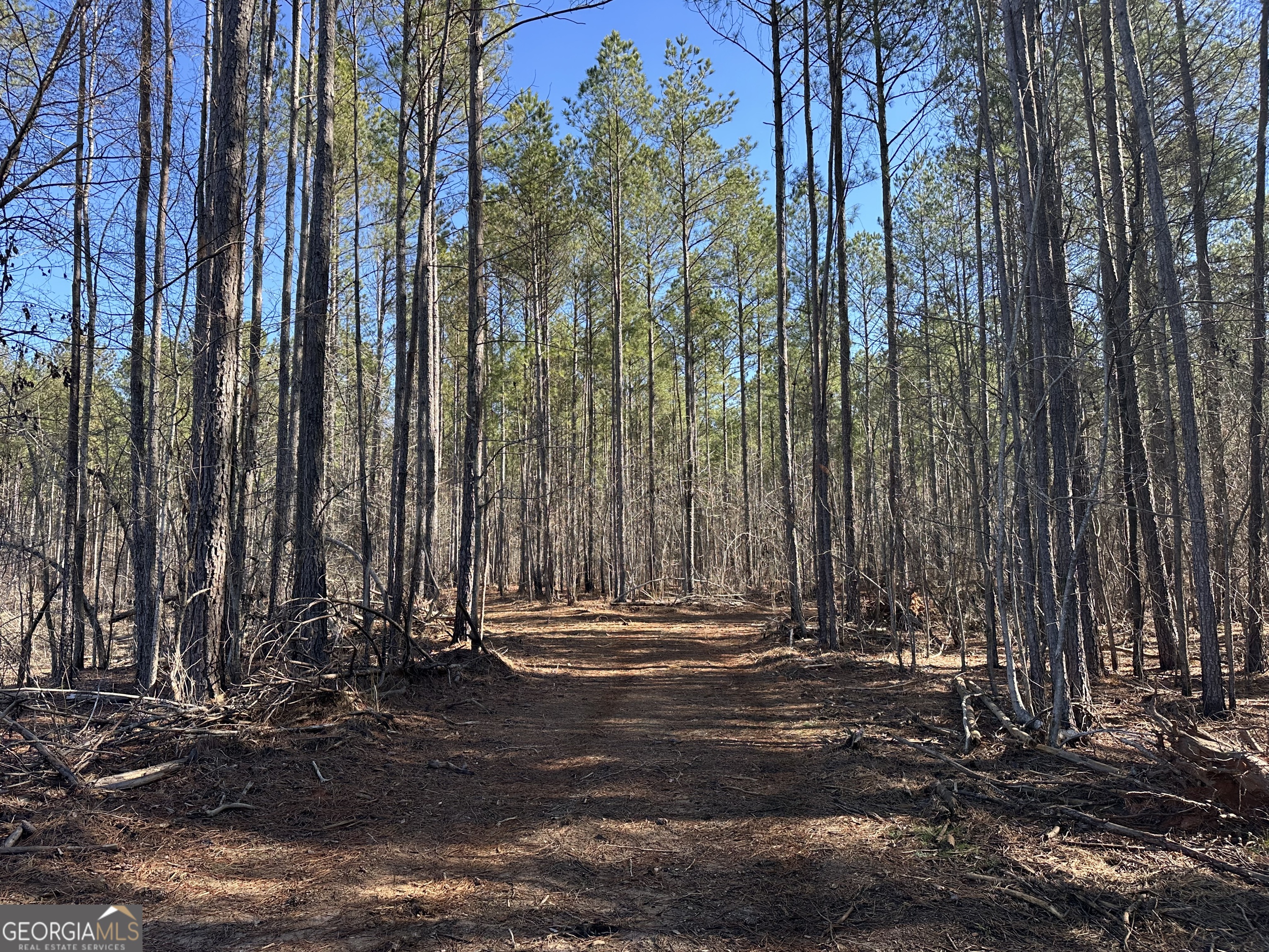 0 Farmington Road Watkinsville GA 30677