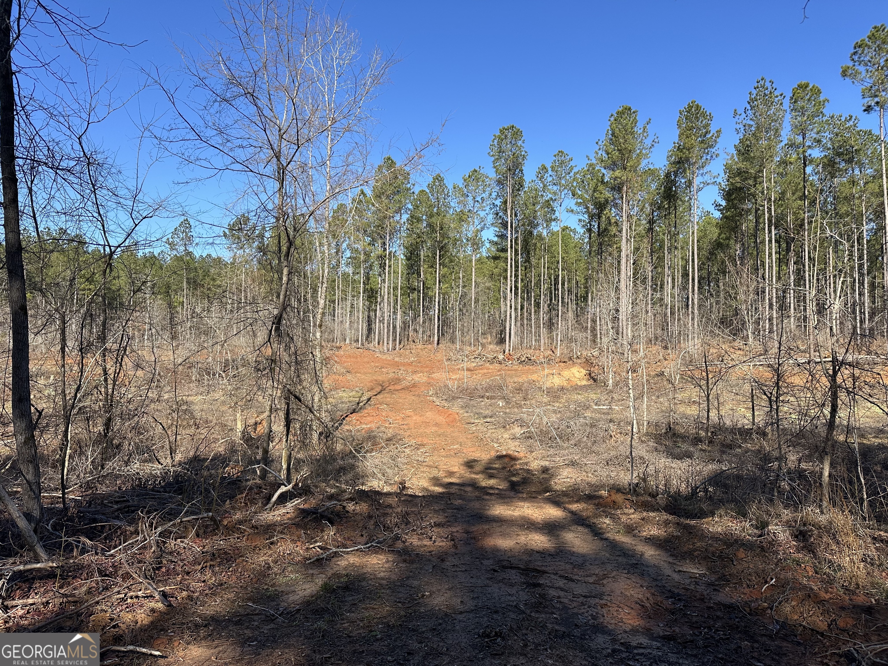 0 Farmington Road Watkinsville GA 30677