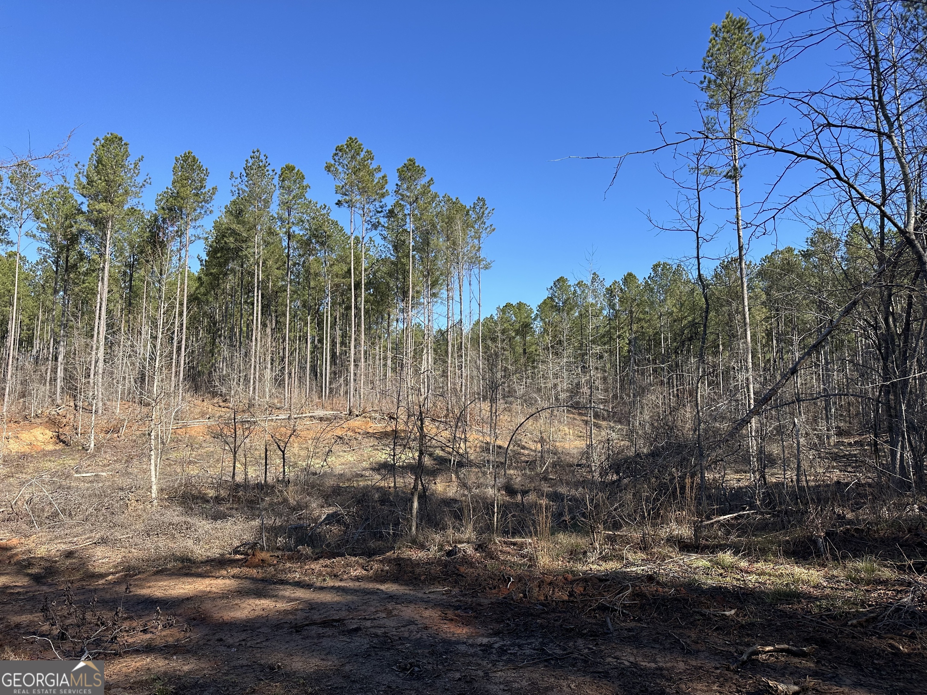 0 Farmington Road Watkinsville GA 30677