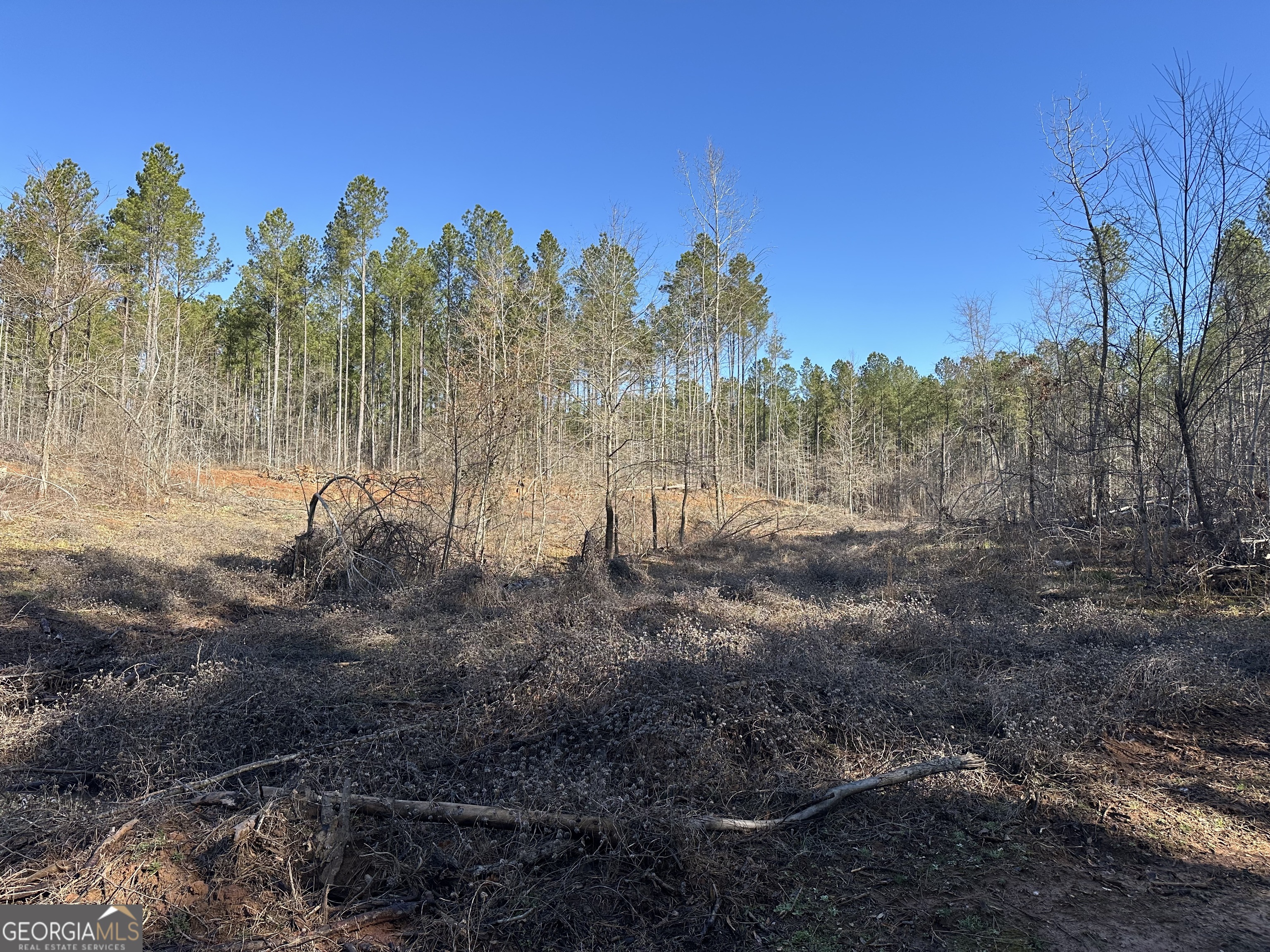 0 Farmington Road Watkinsville GA 30677