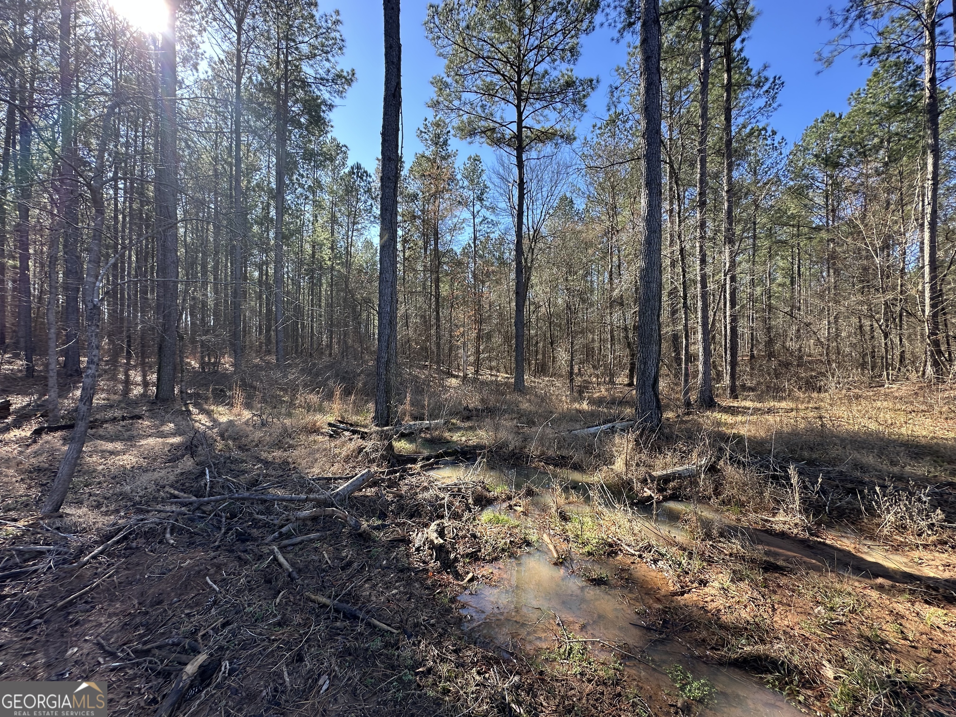 0 Farmington Road Watkinsville GA 30677