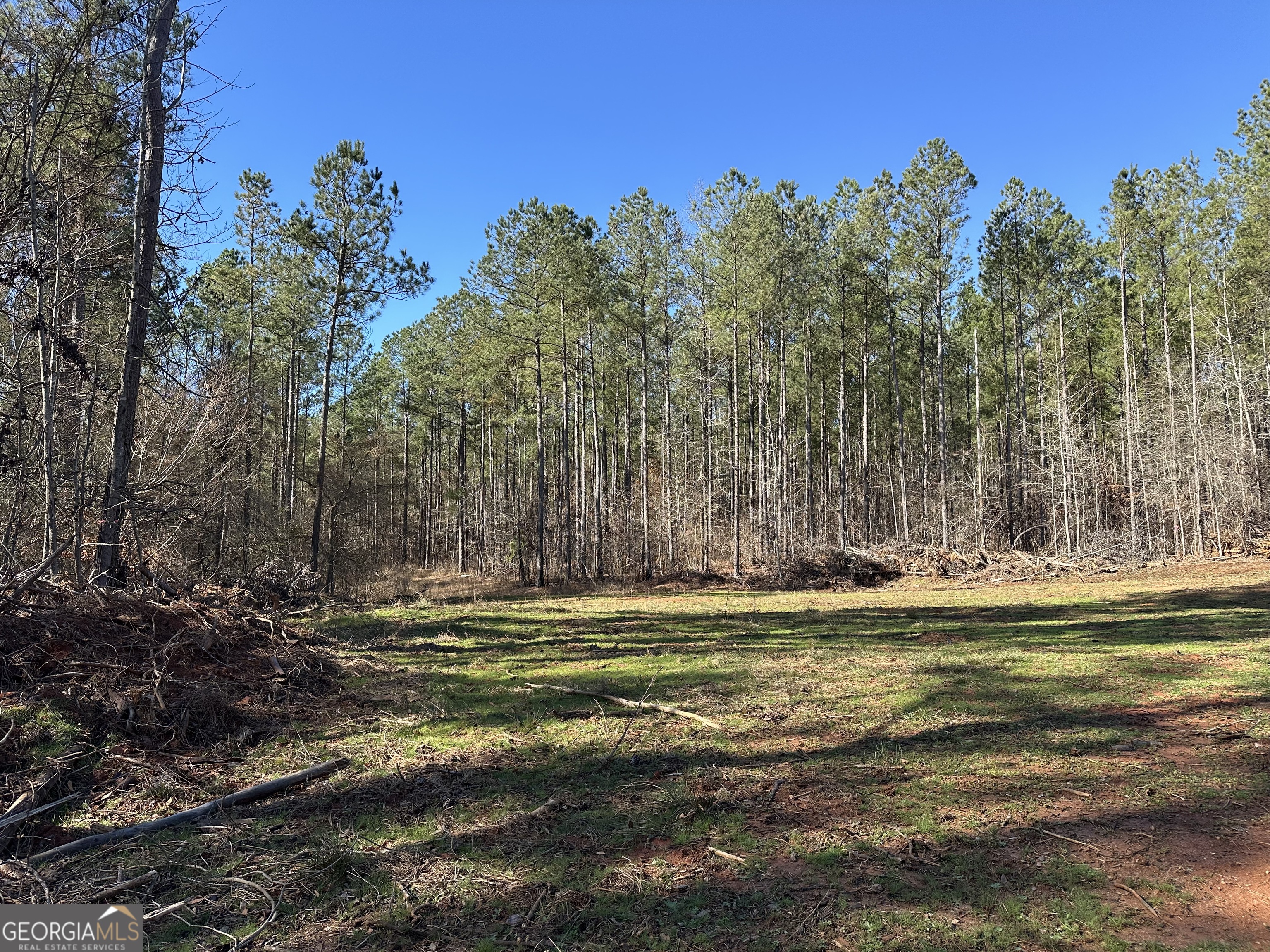 0 Farmington Road Watkinsville GA 30677