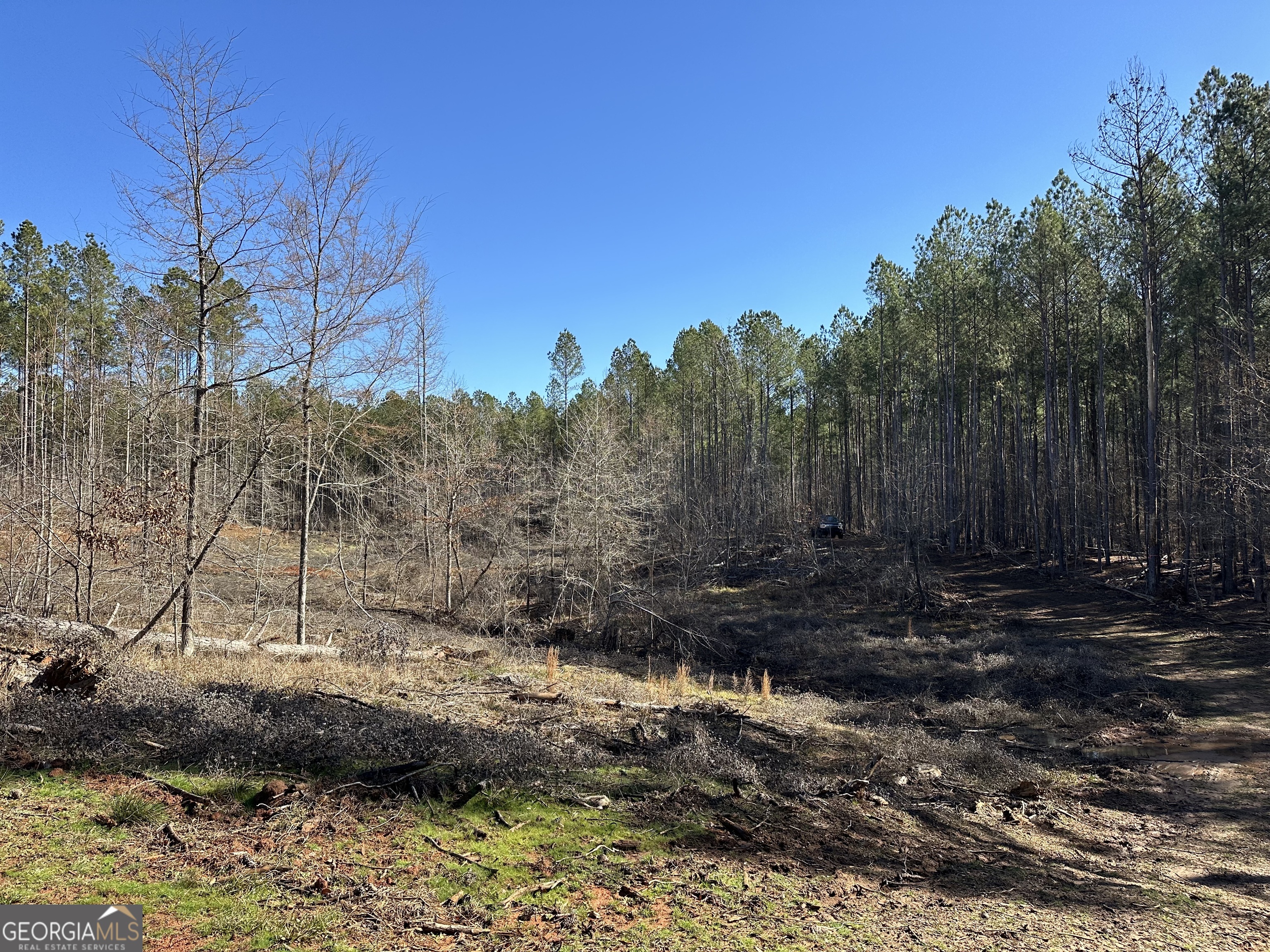 0 Farmington Road Watkinsville GA 30677