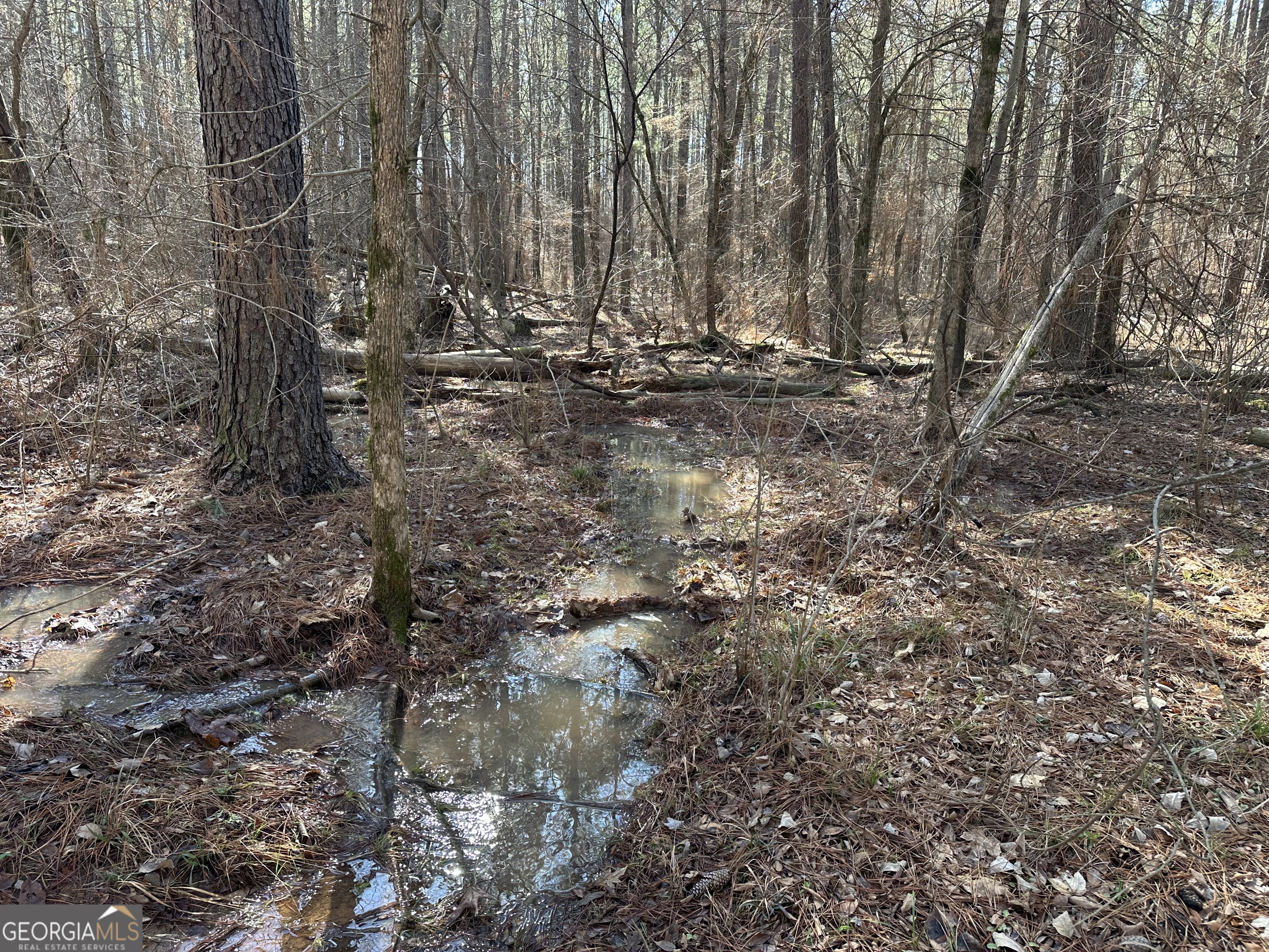 0 Farmington Road Watkinsville GA 30677