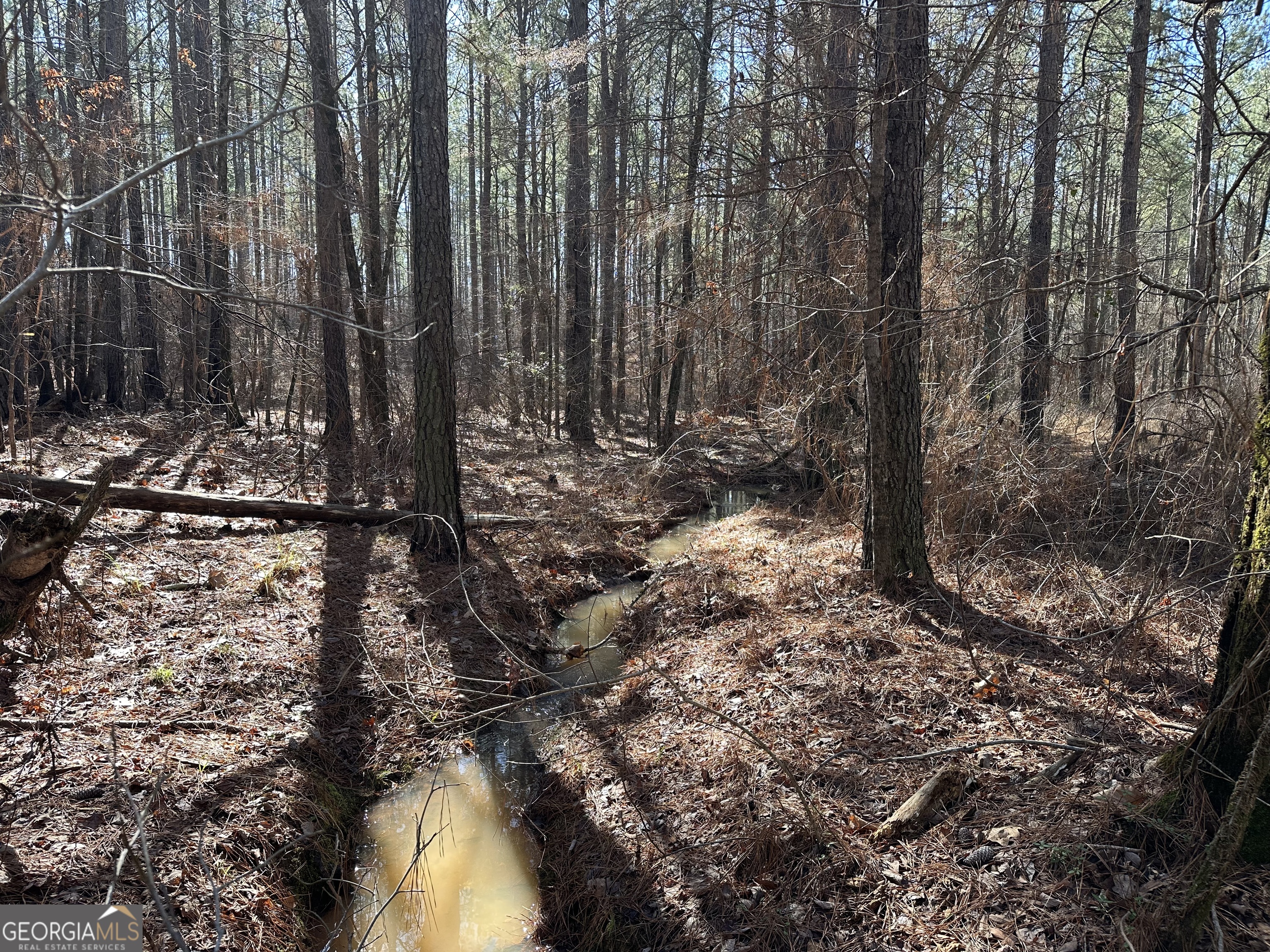 0 Farmington Road Watkinsville GA 30677