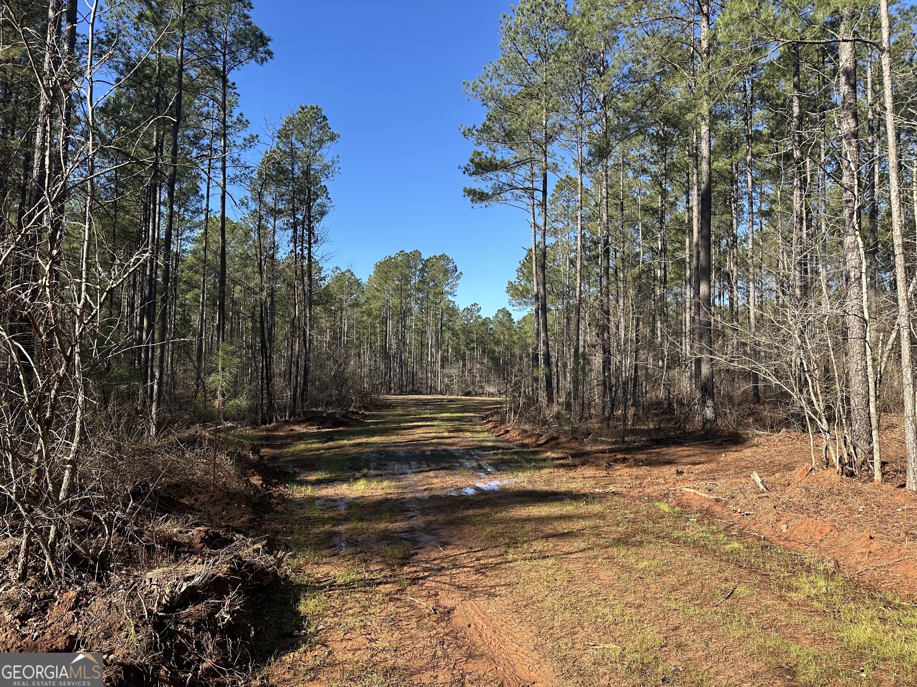 0 Farmington Road Watkinsville GA 30677