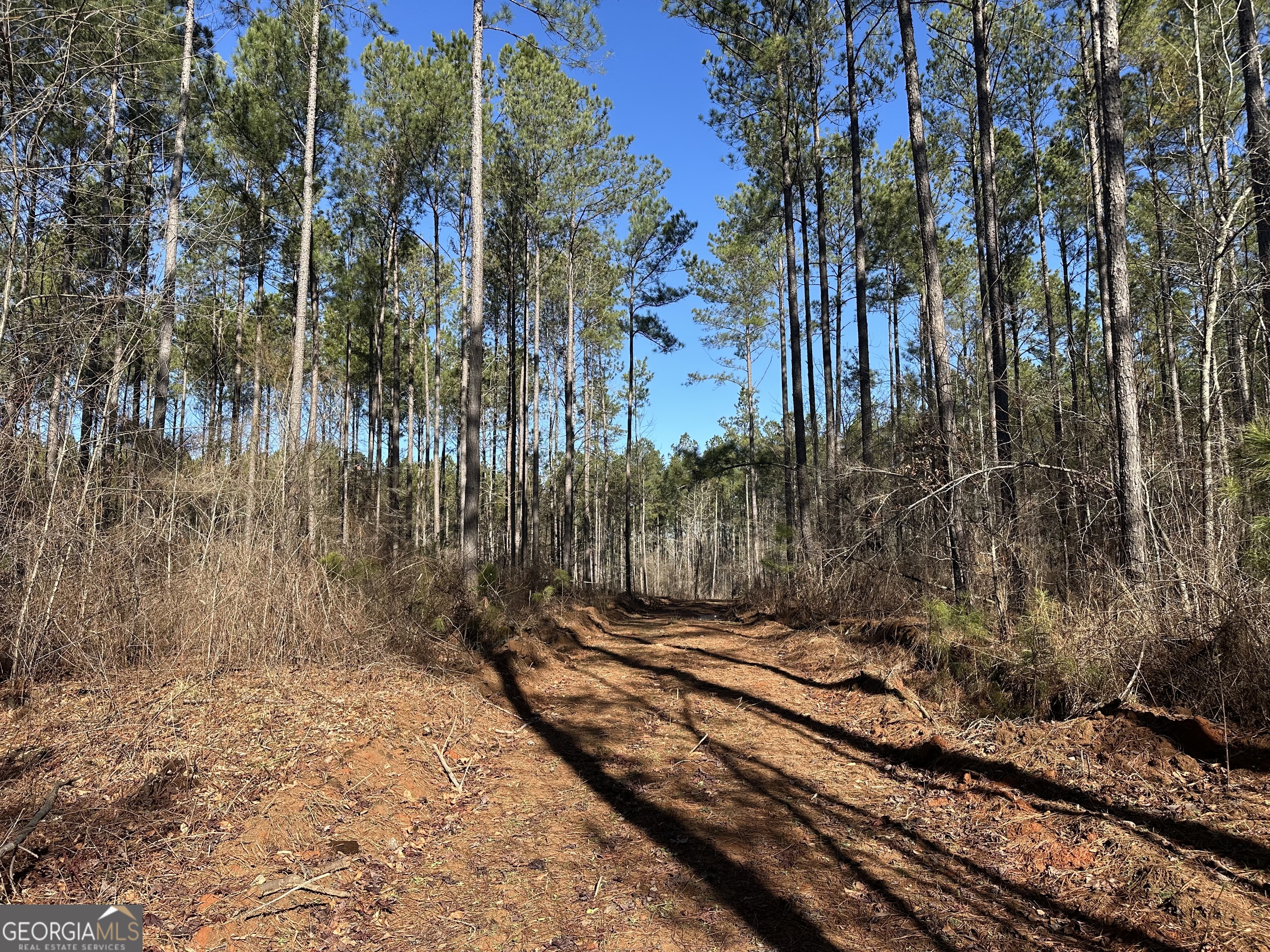 0 Farmington Road Watkinsville GA 30677