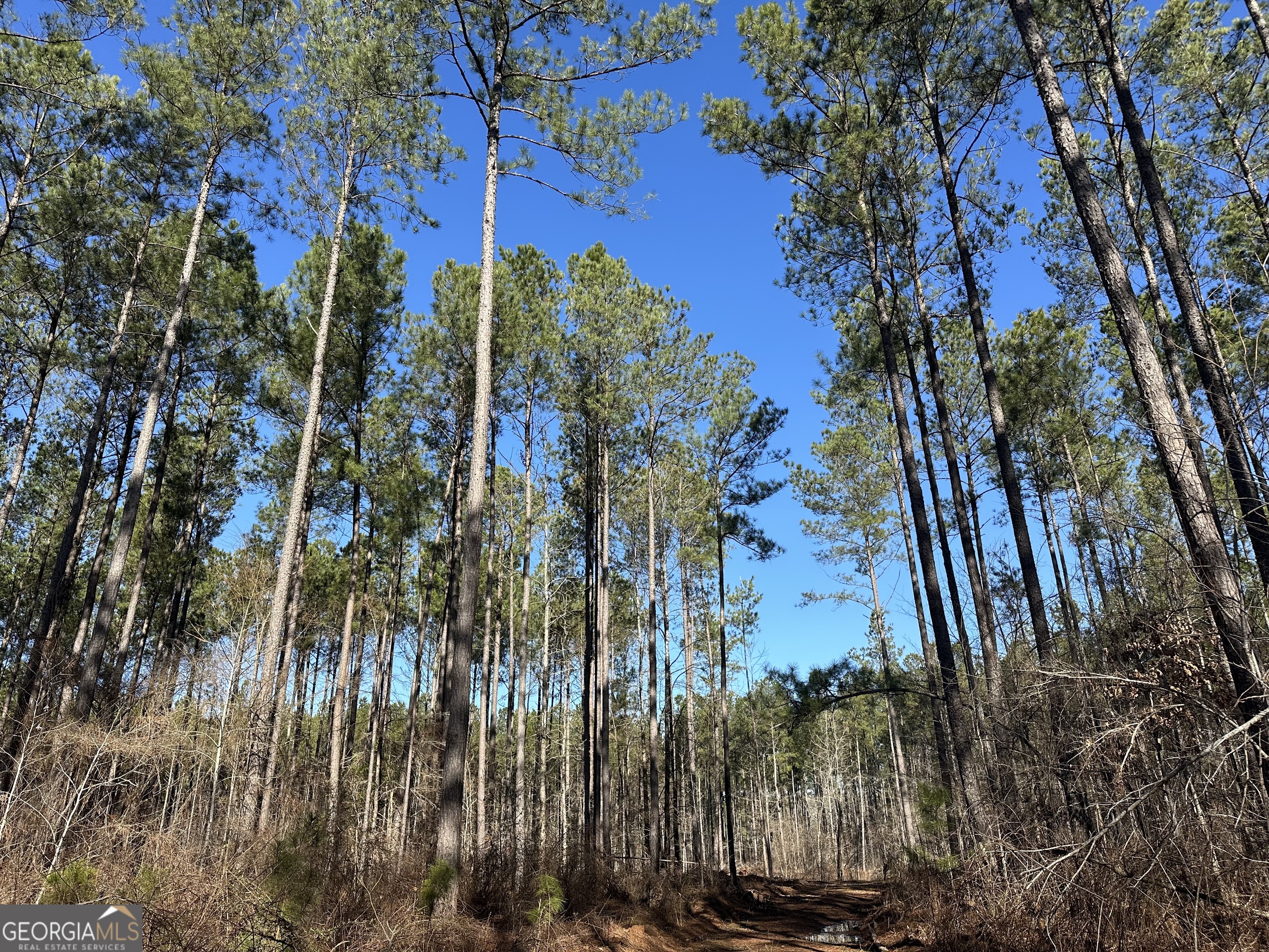 0 Farmington Road Watkinsville GA 30677