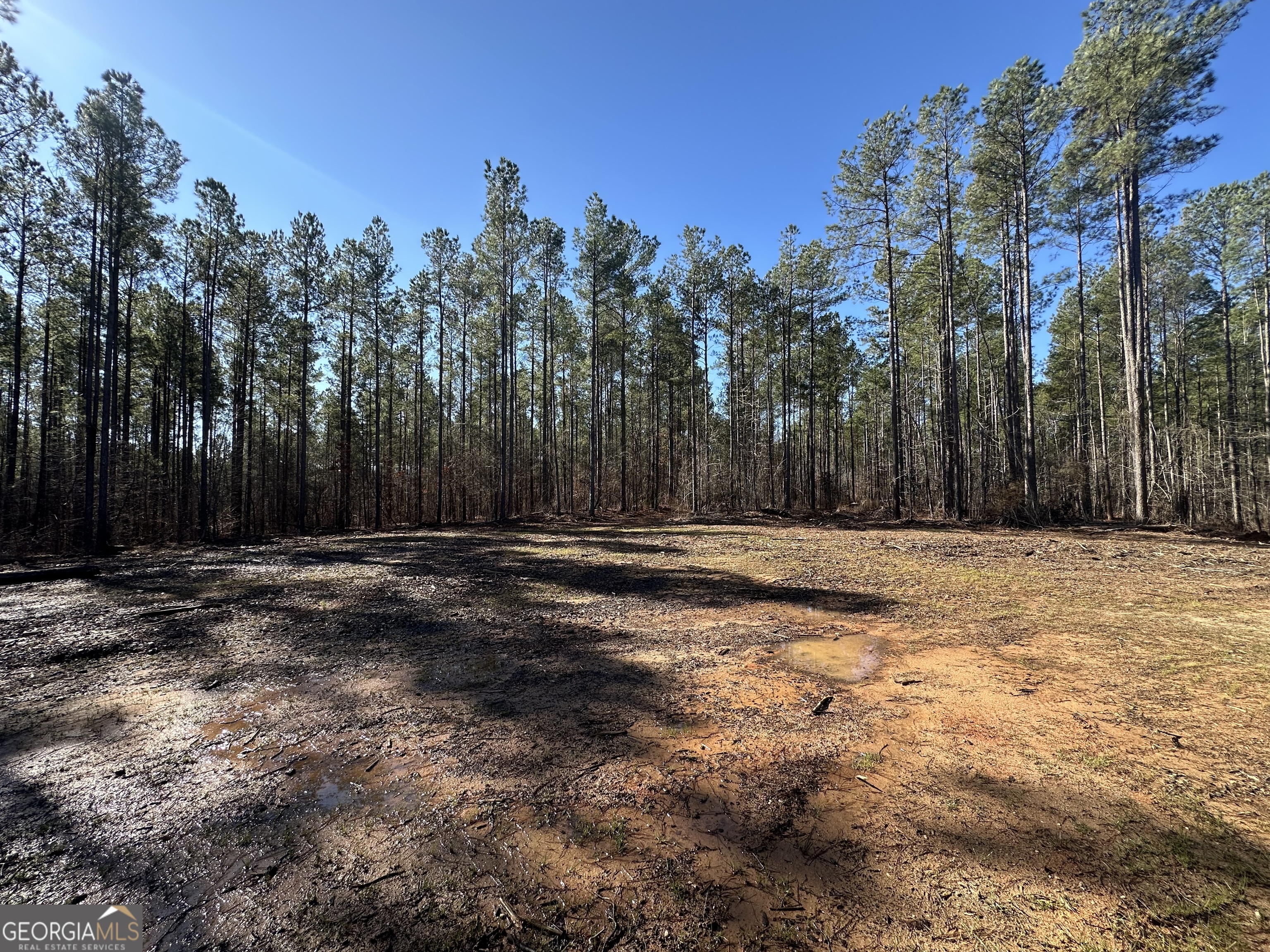 0 Farmington Road Watkinsville GA 30677