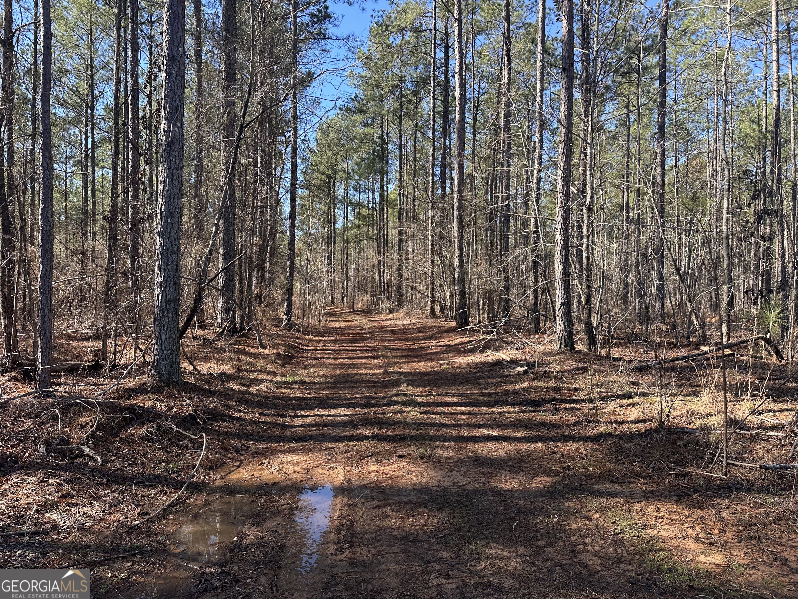 0 Farmington Road Watkinsville GA 30677