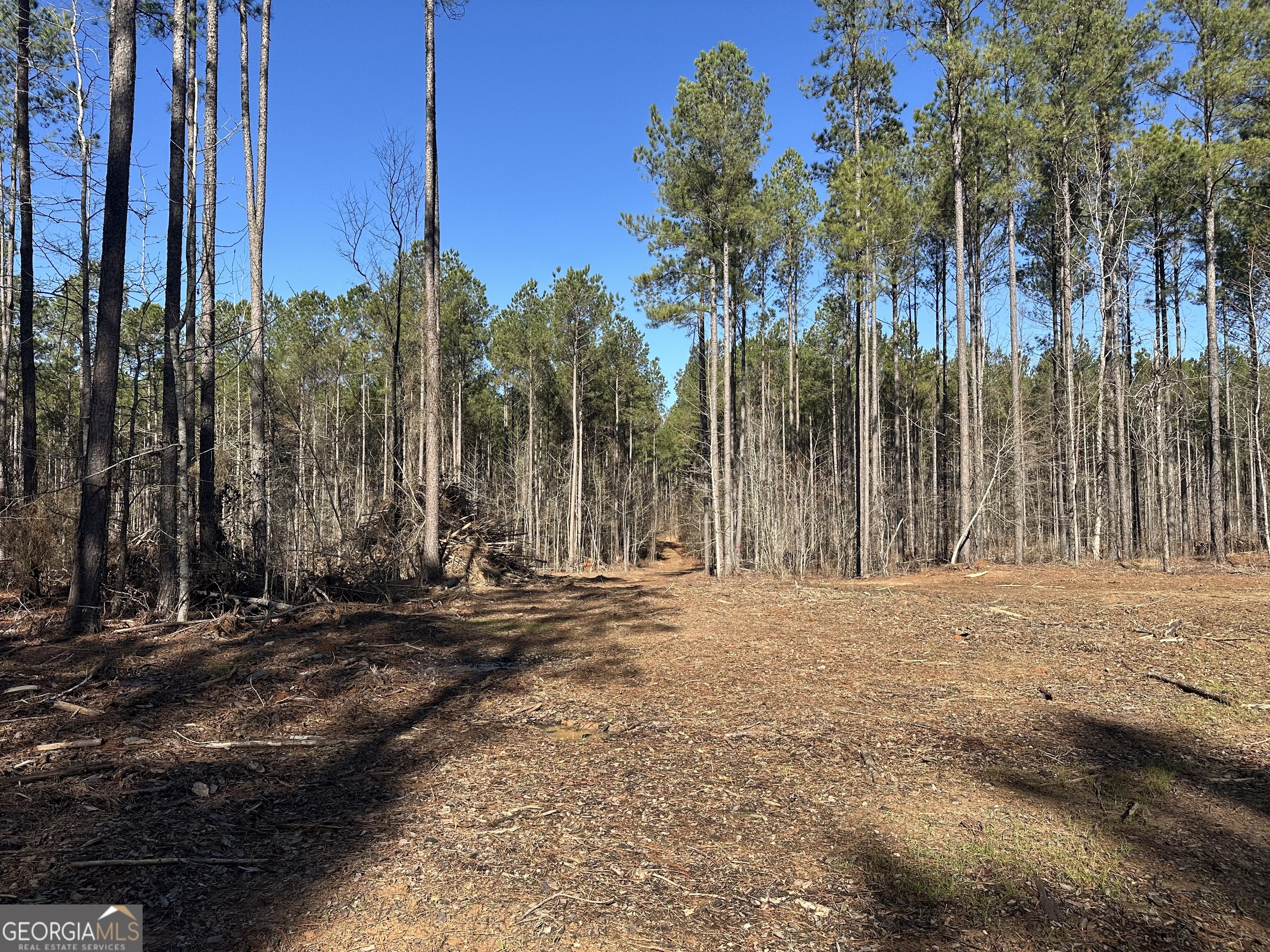 0 Farmington Road Watkinsville GA 30677