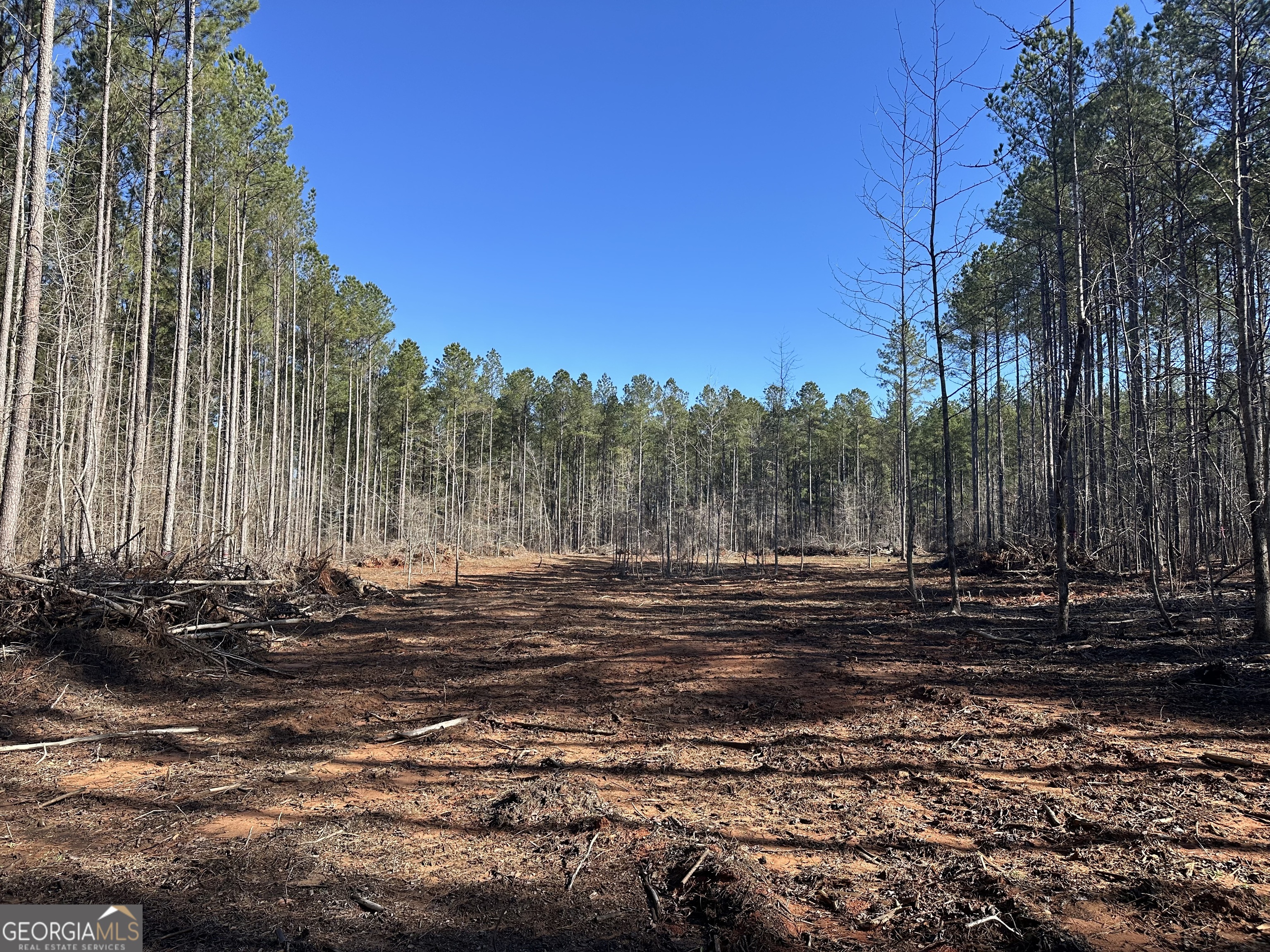 0 Farmington Road Watkinsville GA 30677