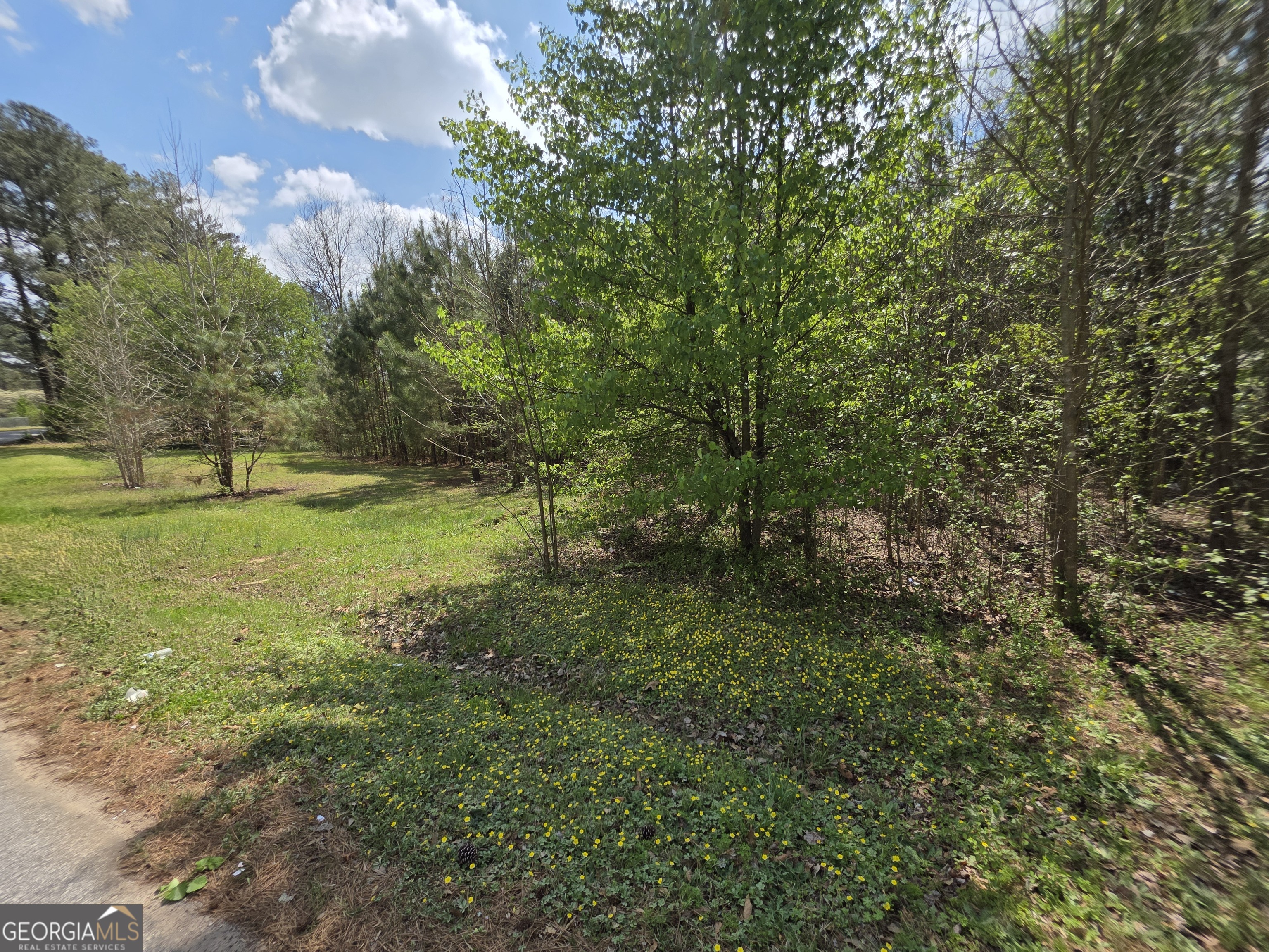 4563 Ruby Road Stone Mountain GA 30083