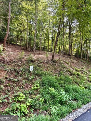 Lot 38 Blue Horizon Drive Blue Ridge GA 30513