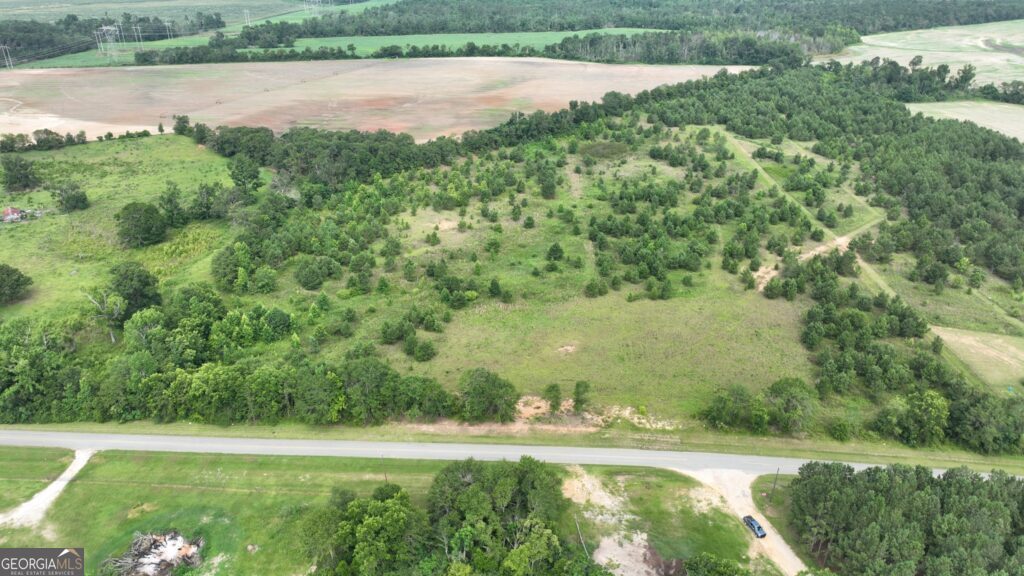 0 Baldee Road Bartow GA 30413