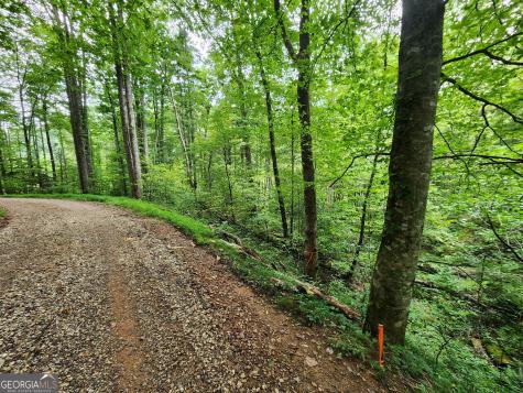 Tract 2b Poplar Cove Trail Suches GA 30572