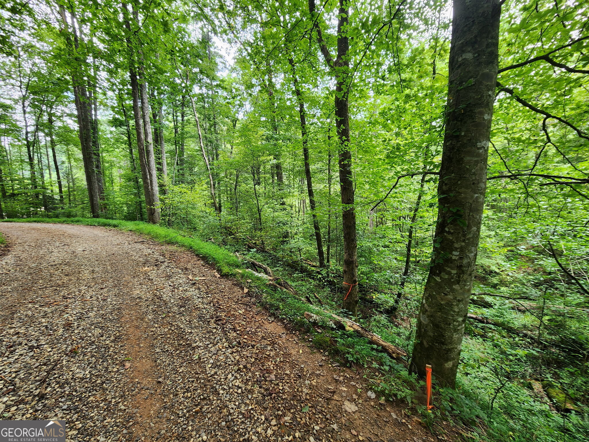 Tract 2b Poplar Cove Trail Suches GA 30572