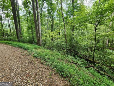Tract 2b Poplar Cove Trail Suches GA 30572
