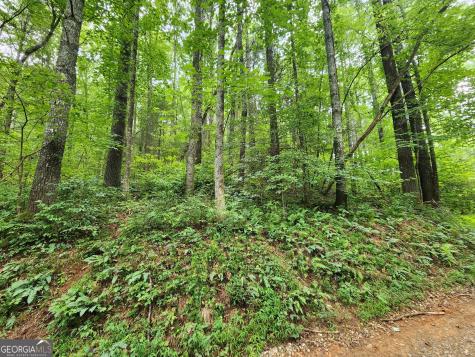 Tract 2b Poplar Cove Trail Suches GA 30572