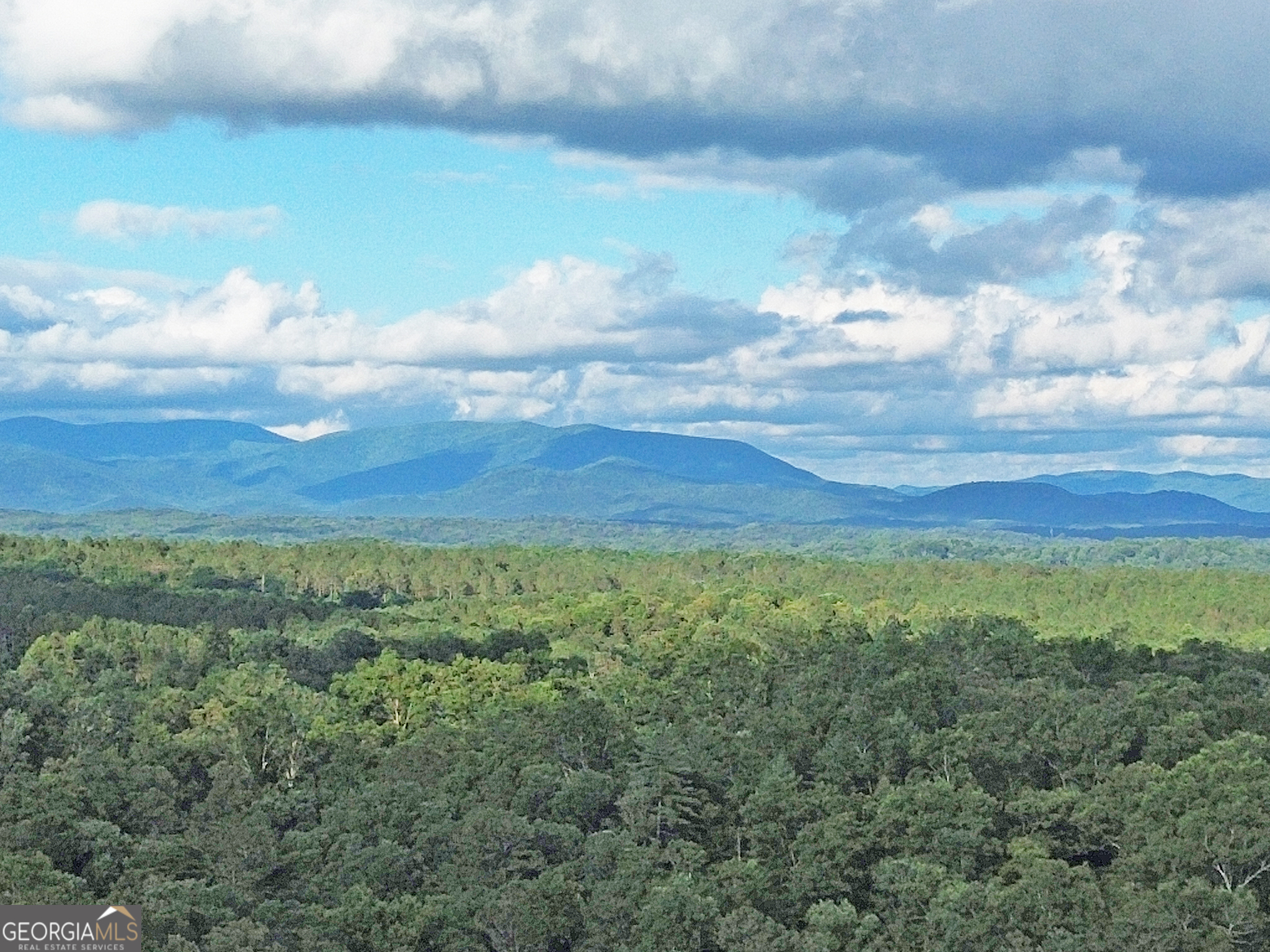 Lot 20 Mt Springer Road Ellijay GA 30540