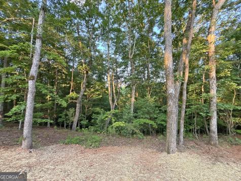 Lot 20 Mt Springer Road Ellijay GA 30540