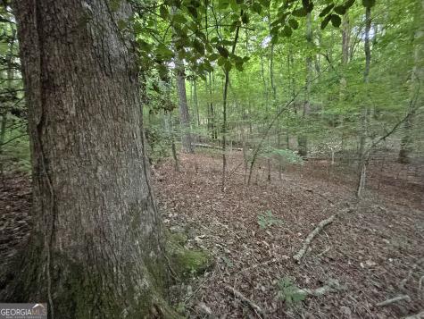 Lot 20 Mt Springer Road Ellijay GA 30540