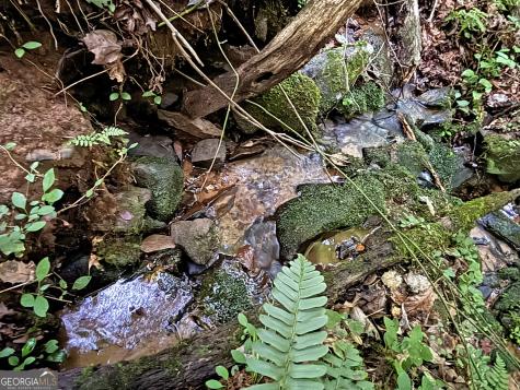 Lot 20 Mt Springer Road Ellijay GA 30540