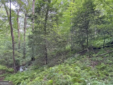 Lot 20 Mt Springer Road Ellijay GA 30540