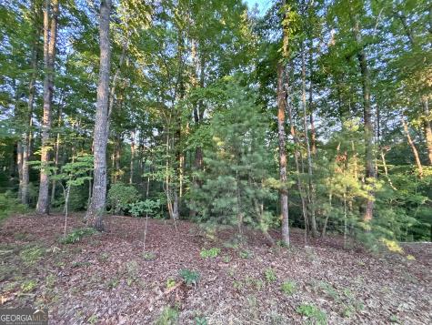 Lot 20 Mt Springer Road Ellijay GA 30540