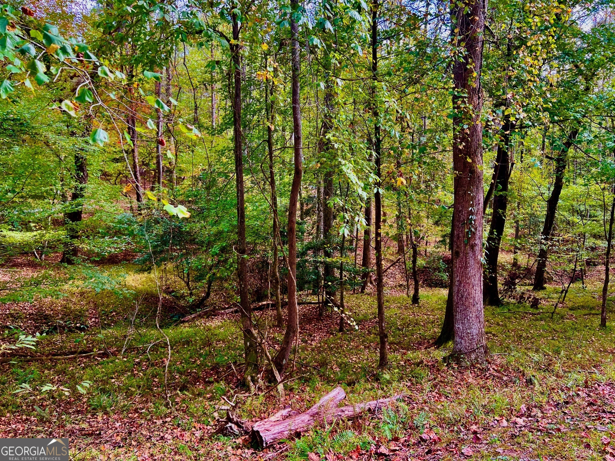 574 S Satsuma Court Ellijay GA 30540