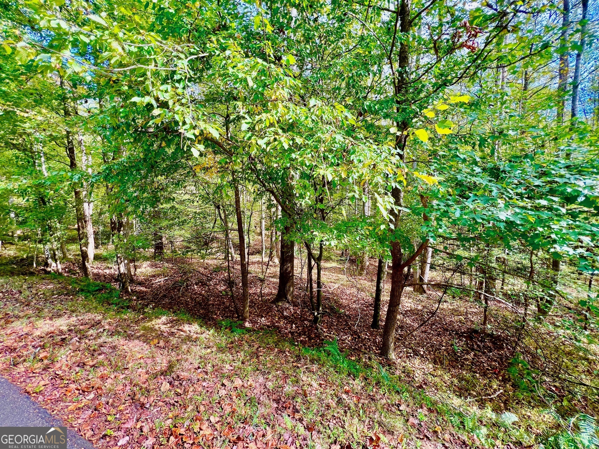 574 S Satsuma Court Ellijay GA 30540