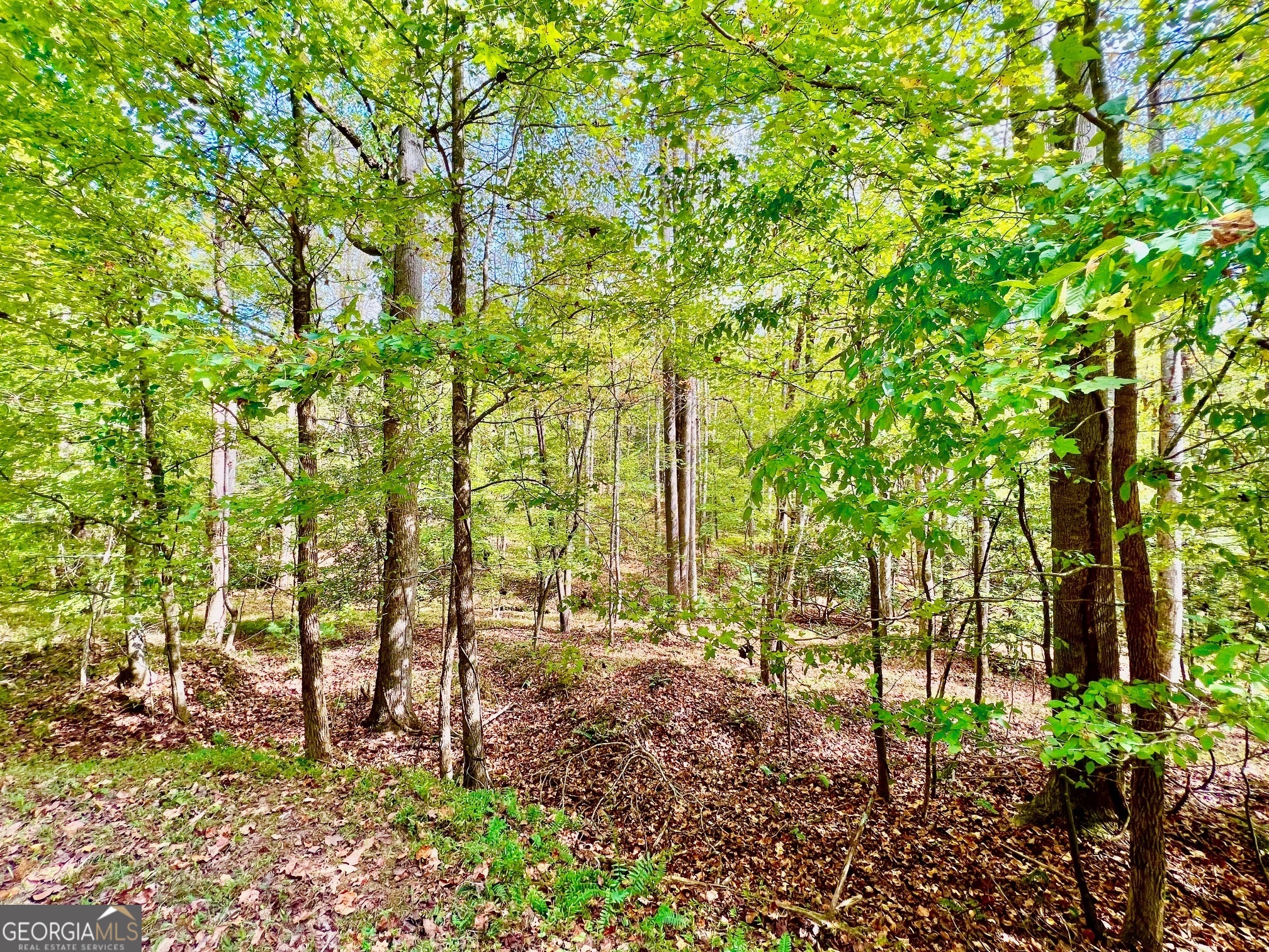 574 S Satsuma Court Ellijay GA 30540