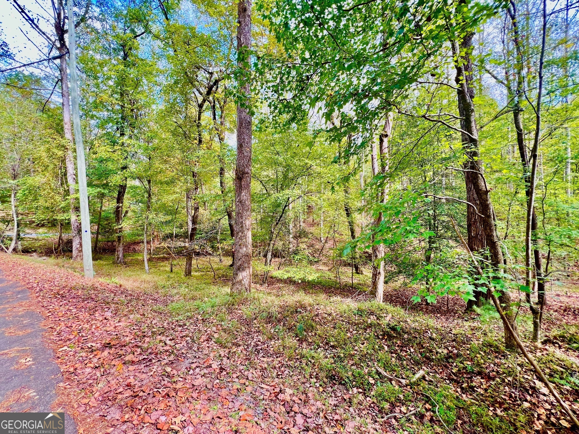 574 S Satsuma Court Ellijay GA 30540