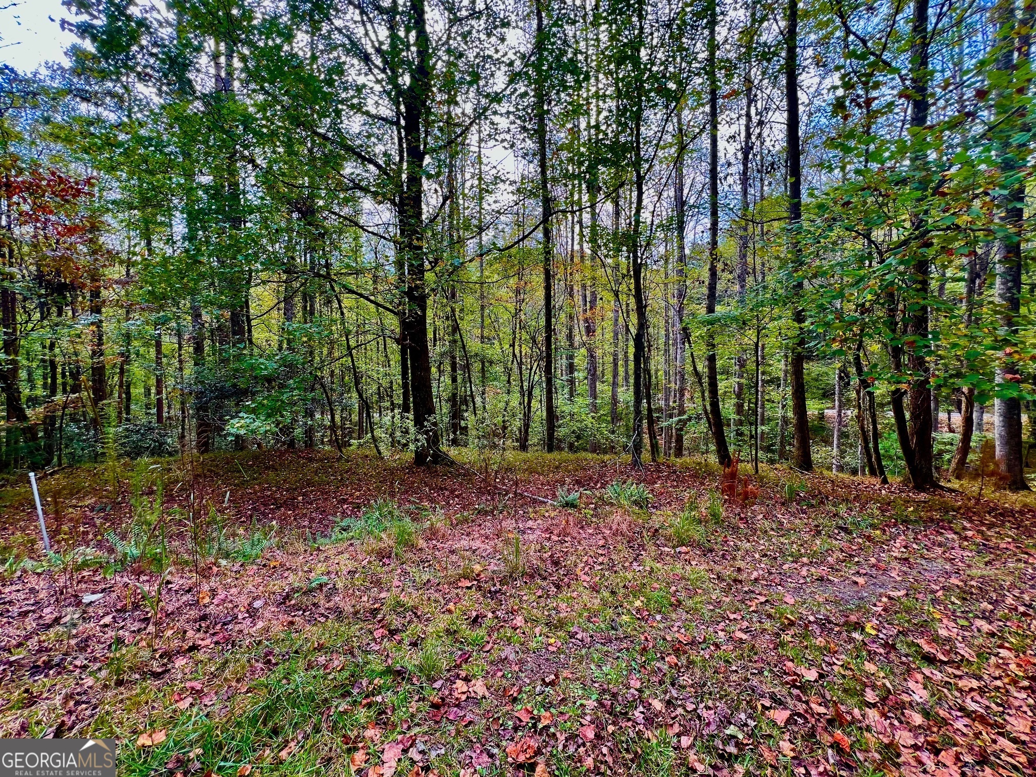 574 S Satsuma Court Ellijay GA 30540