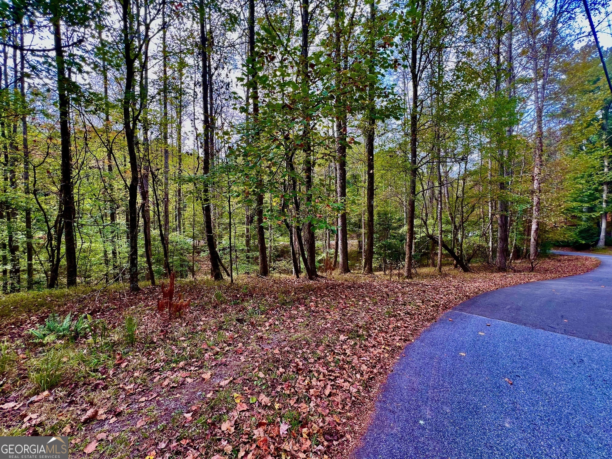 574 S Satsuma Court Ellijay GA 30540