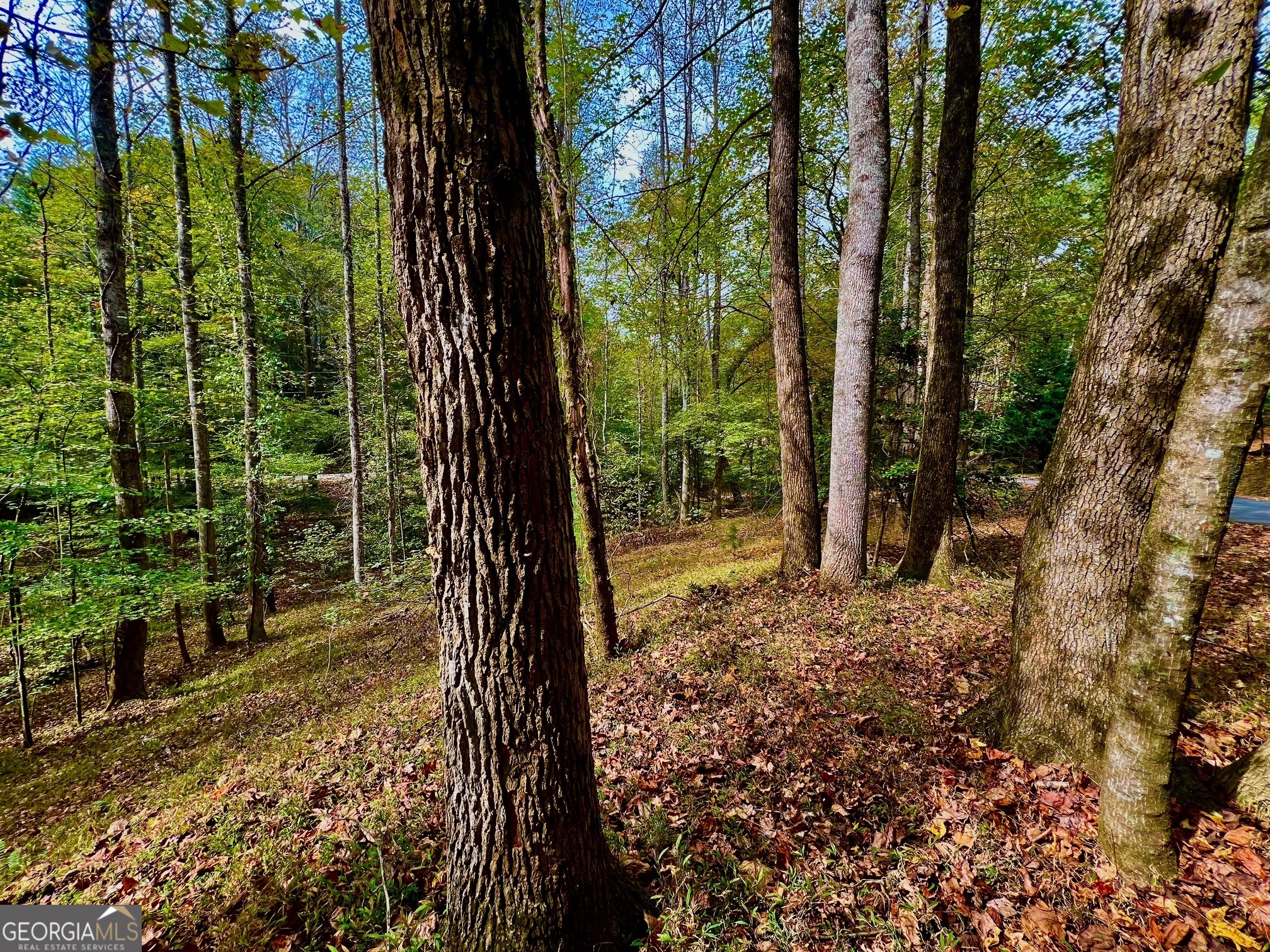 574 S Satsuma Court Ellijay GA 30540